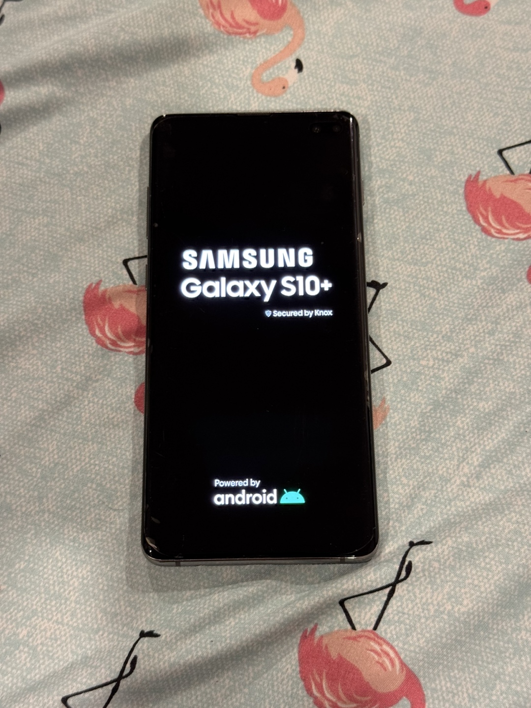 Samsung Galaxy S10+