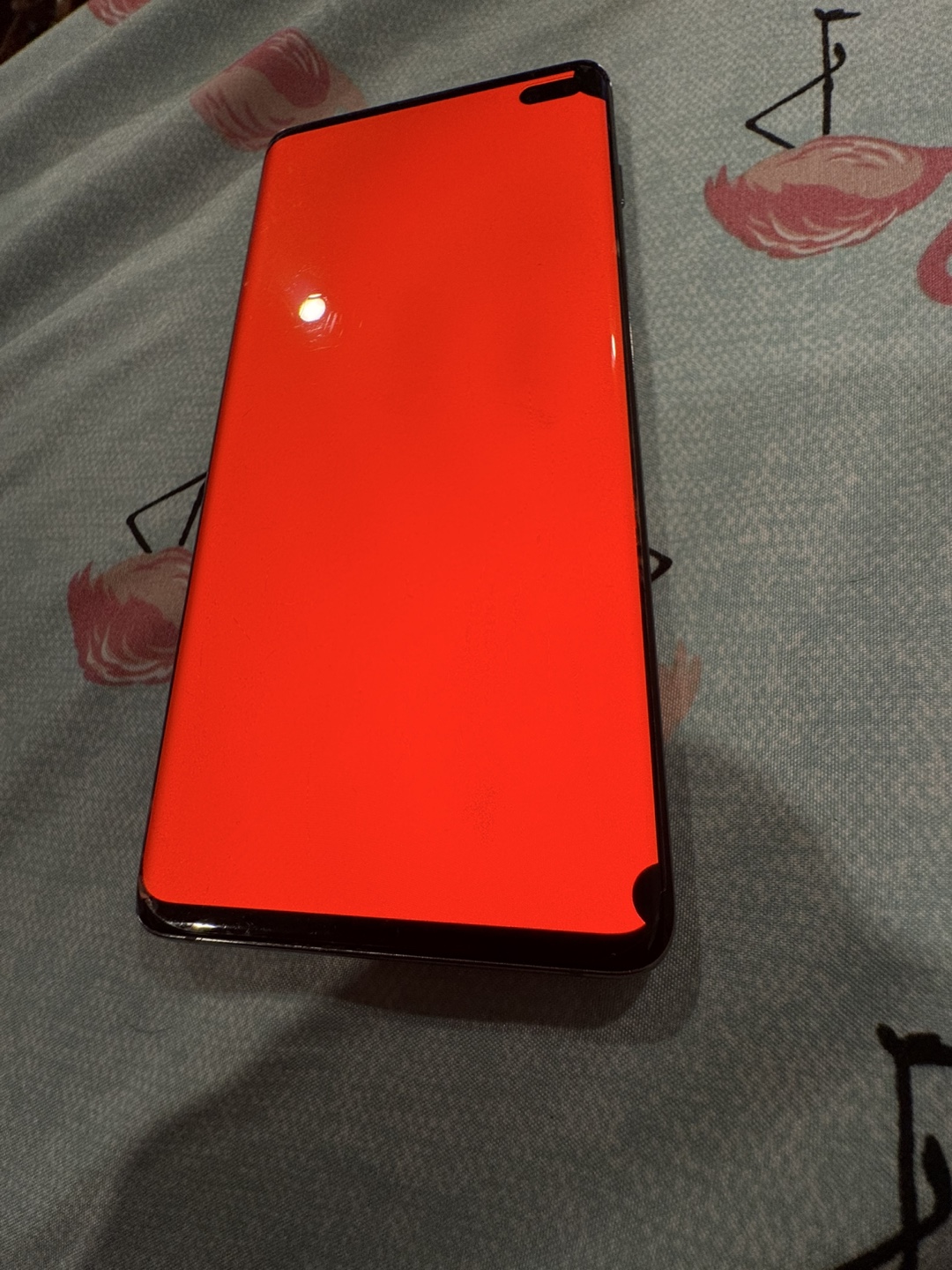 Samsung Galaxy S10+ - photo 5