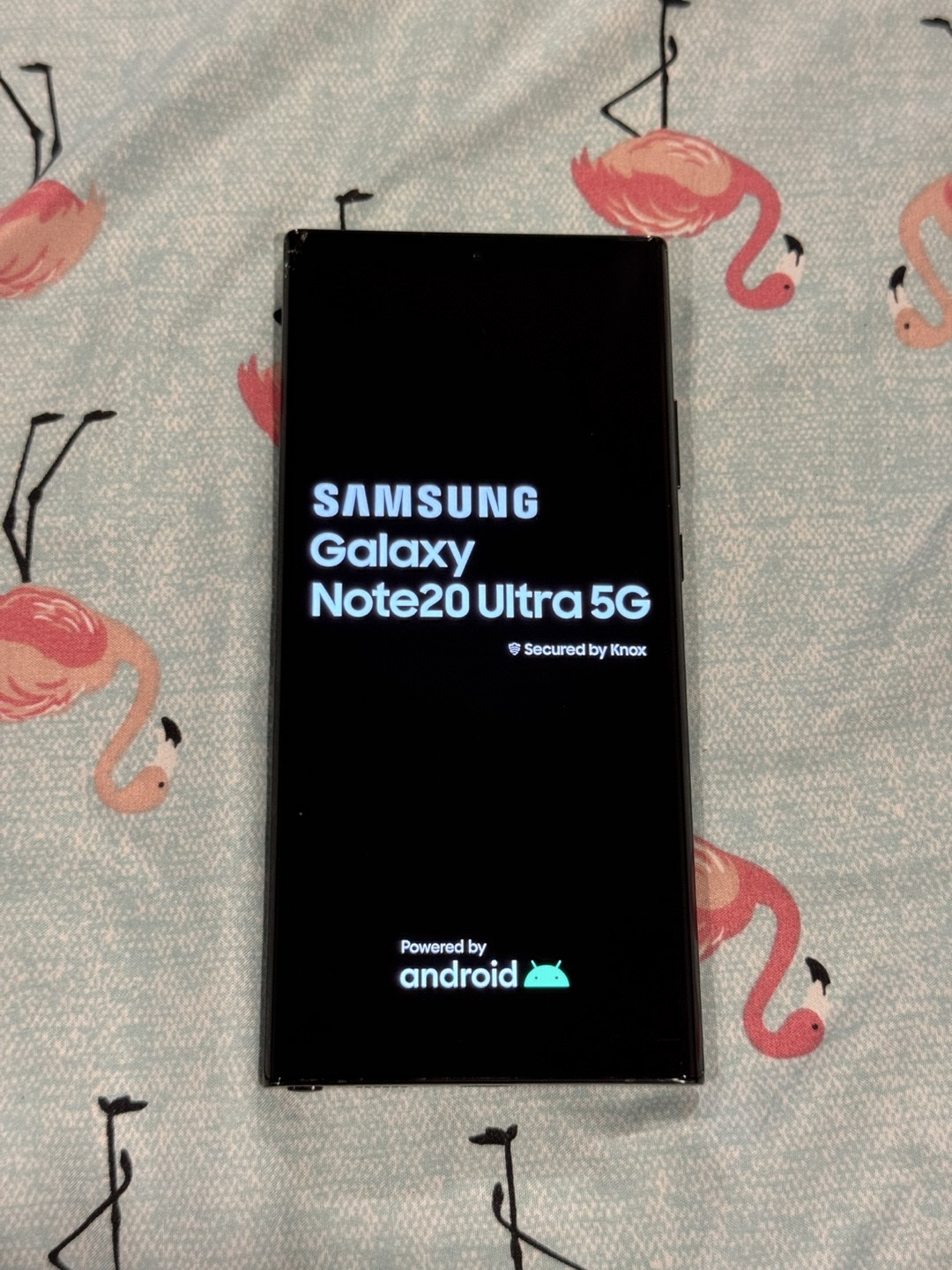 Samsung Galaxy Note20 Ultra 5G - photo 4