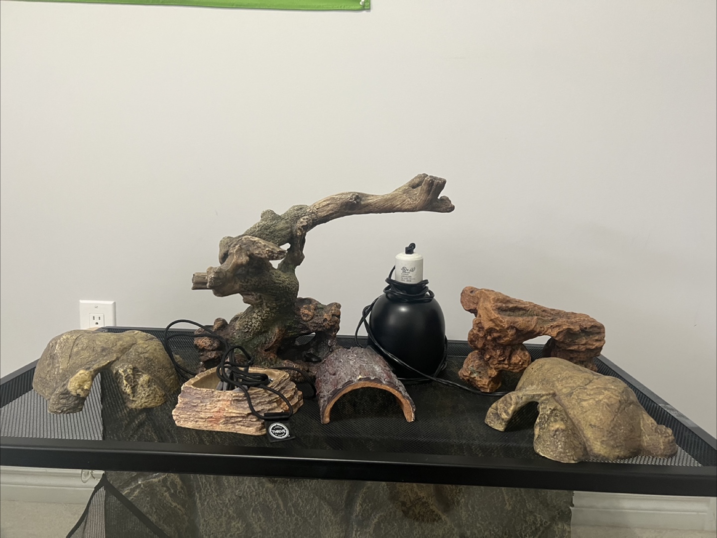 Reptile Habitat with Accessories
