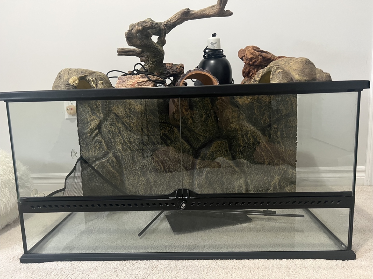 Reptile Habitat with Accessories - photo 2