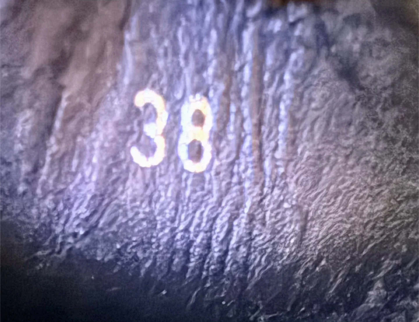 Minelli Black Patent Leather - Lady Size 38 image indicator(7)