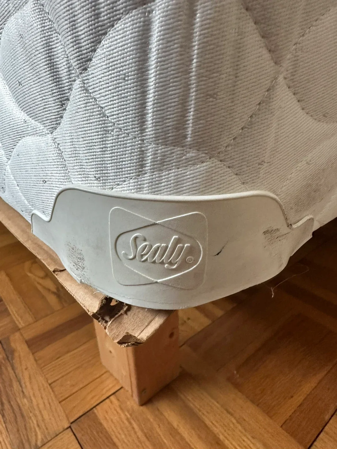 Sealy spring box- Great Condition! thumbnail