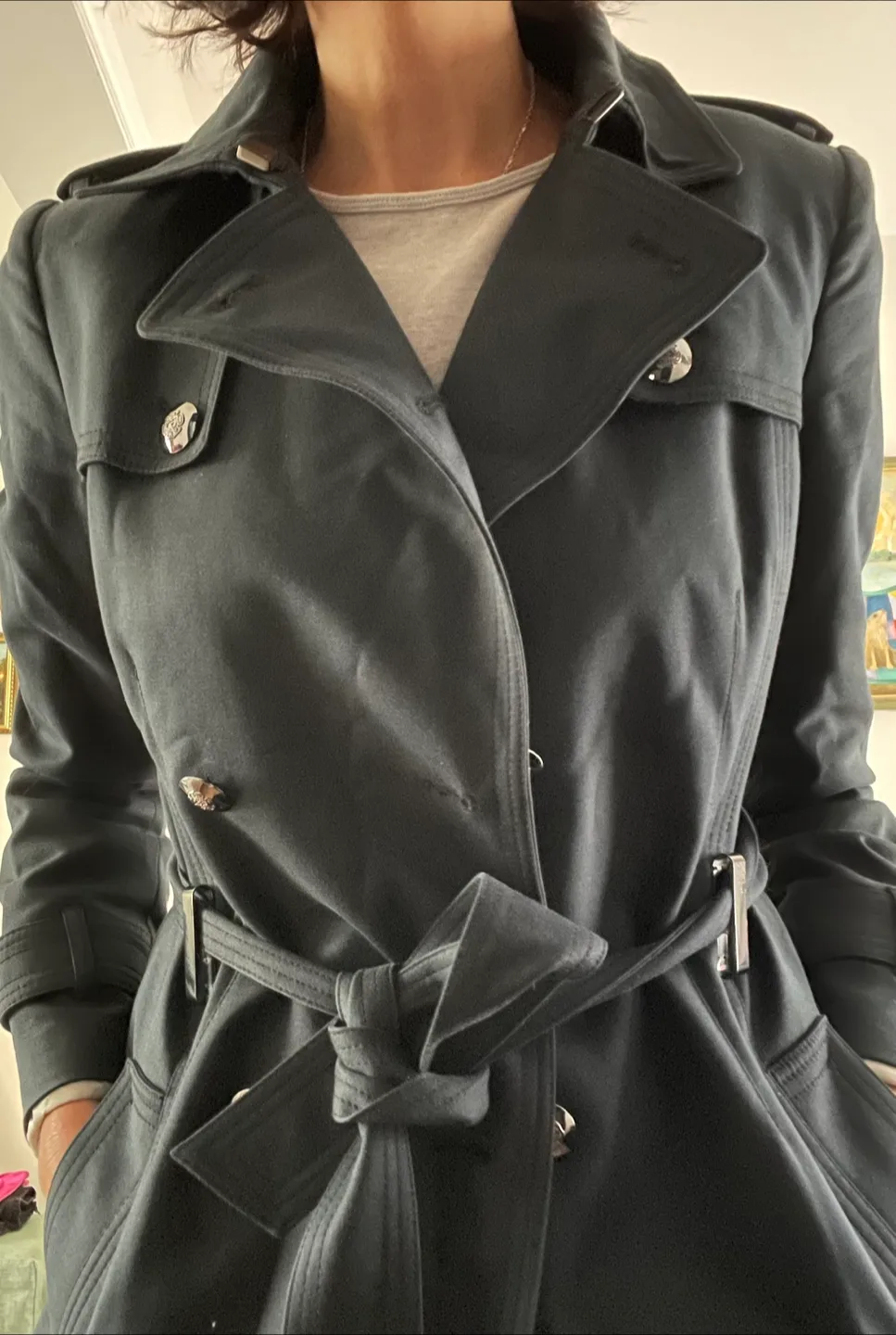 Banana Republic Black Trench Coat image indicator(4)