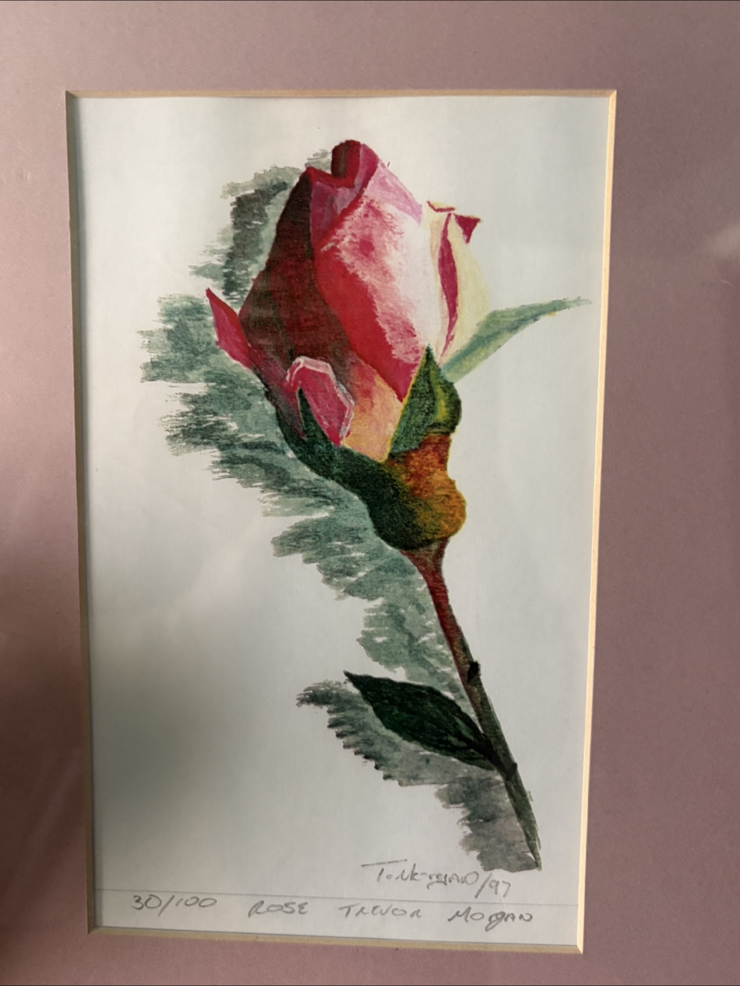 Trevor Morgan Rose Print 30/100 - photo 3