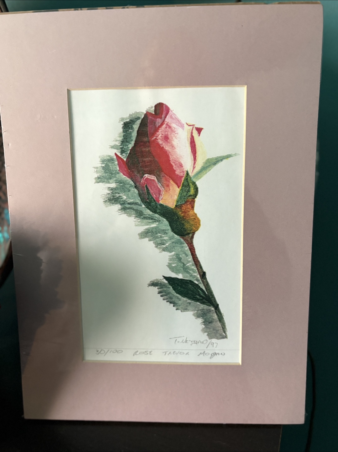 Trevor Morgan Rose Print 30/100