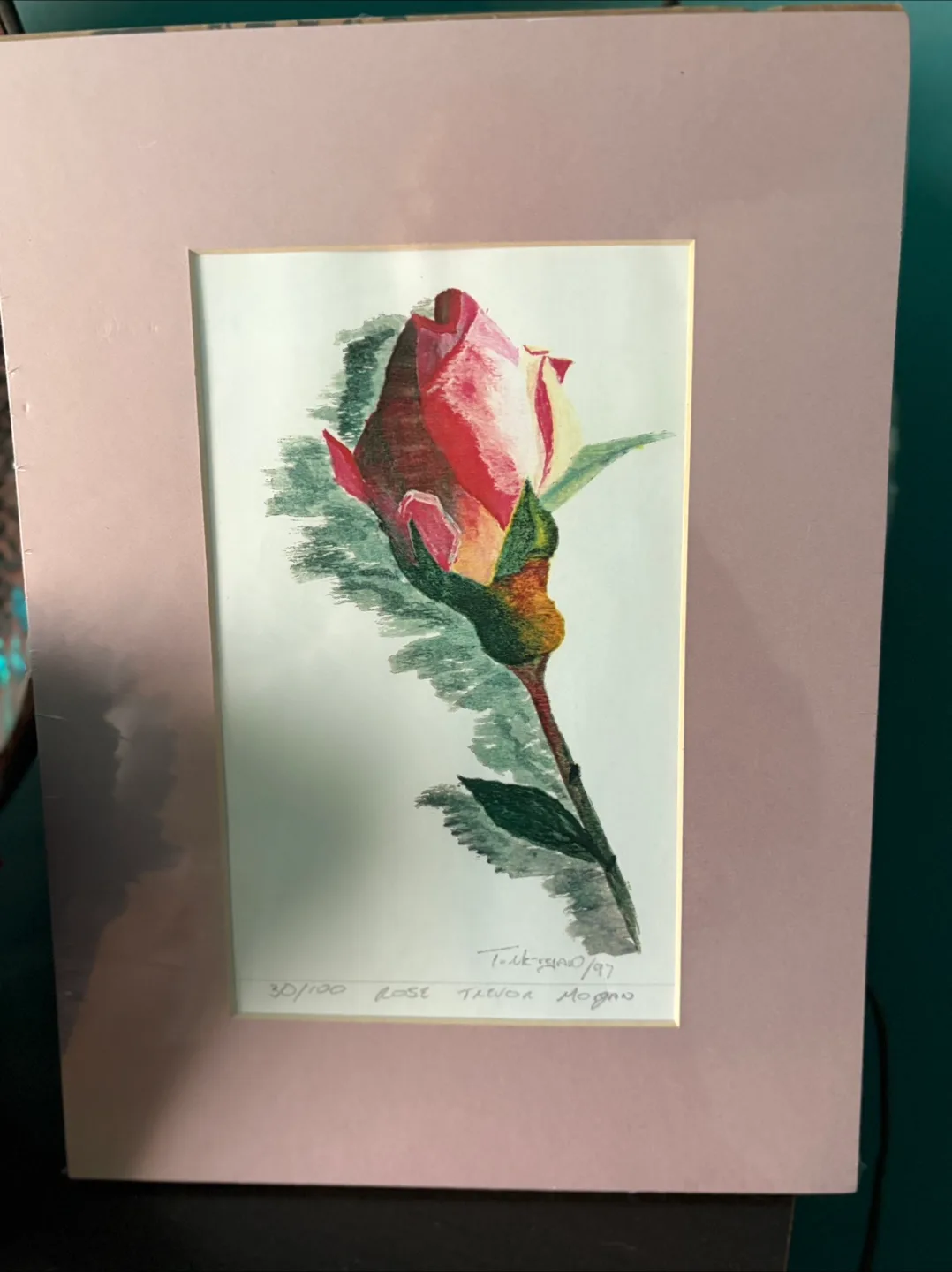 Trevor Morgan Rose Print 30/100 thumbnail