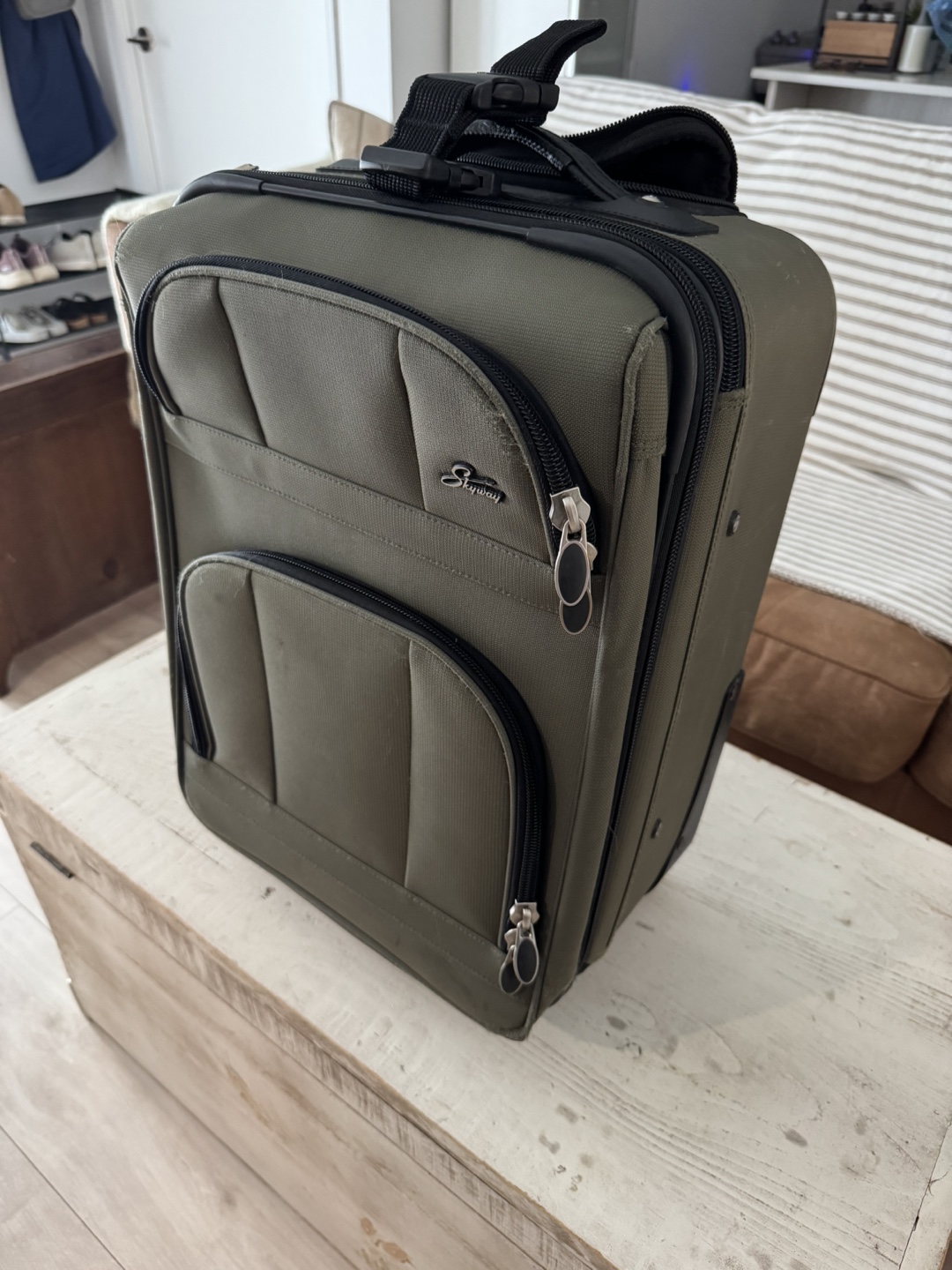 Skyway Rolling Carry-On Luggage, Olive Green