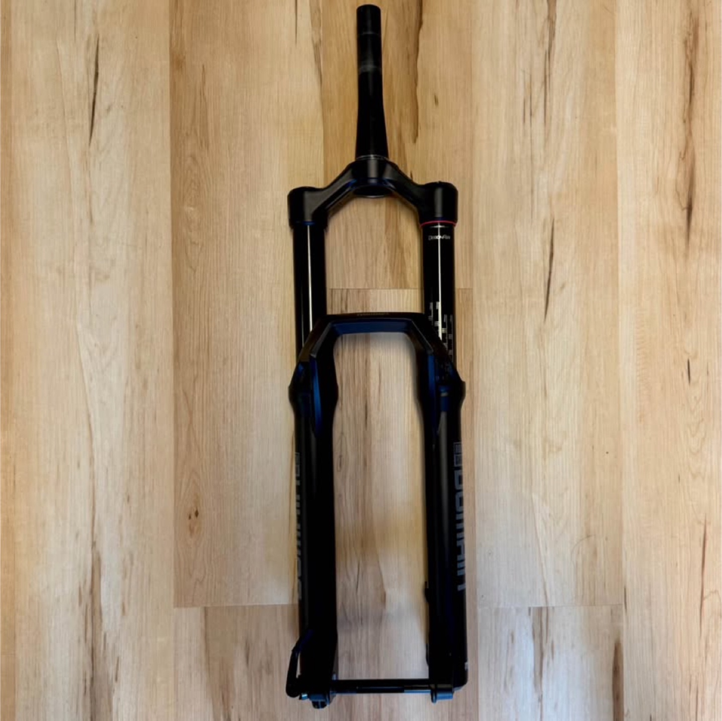 RockShox Domain Mountain Bike Fork - Black - photo 2