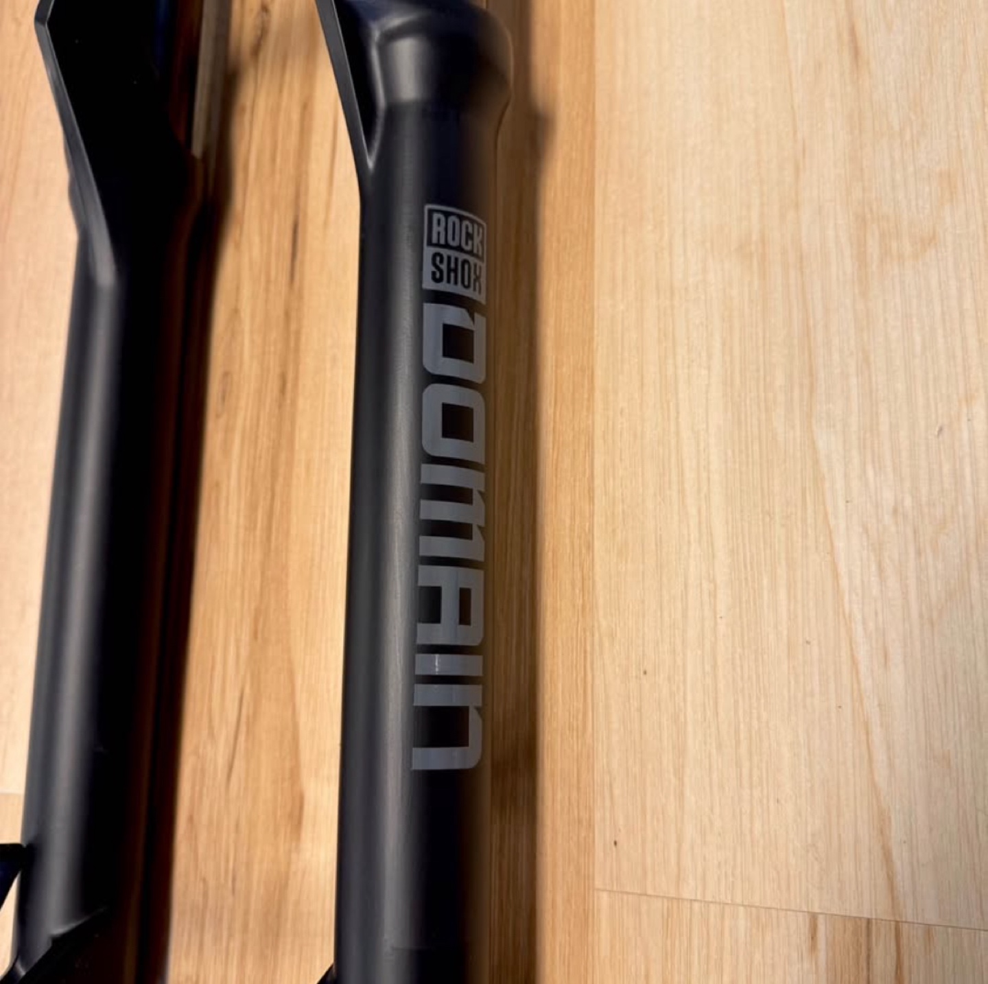 RockShox Domain Mountain Bike Fork - Black