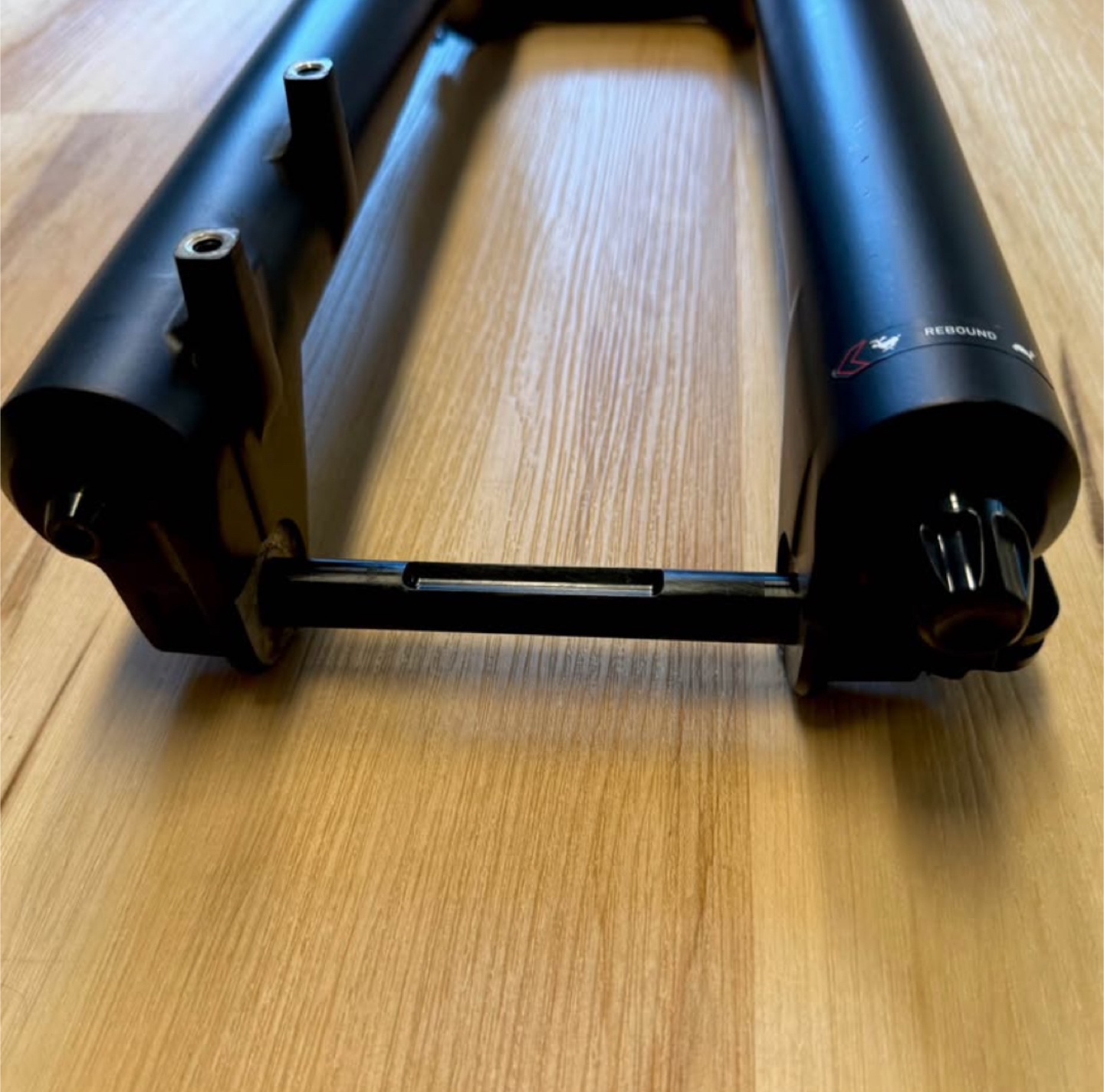 RockShox Domain Mountain Bike Fork - Black - photo 5