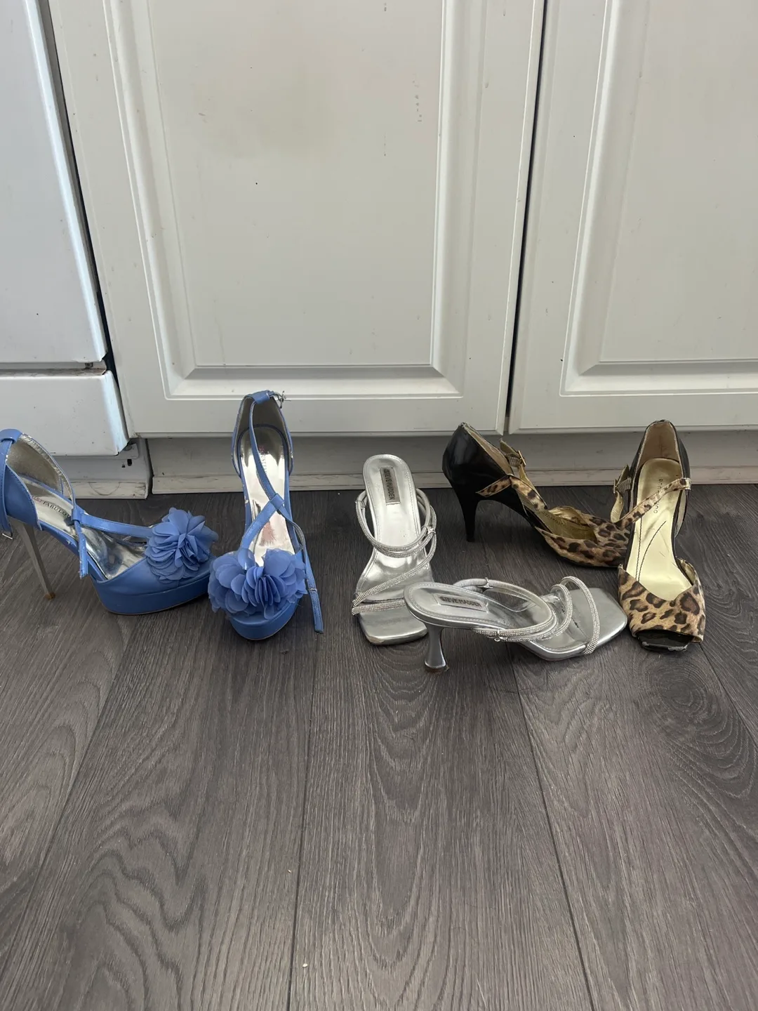 Assorted Heels - Blue, Silver, Leopard Print thumbnail