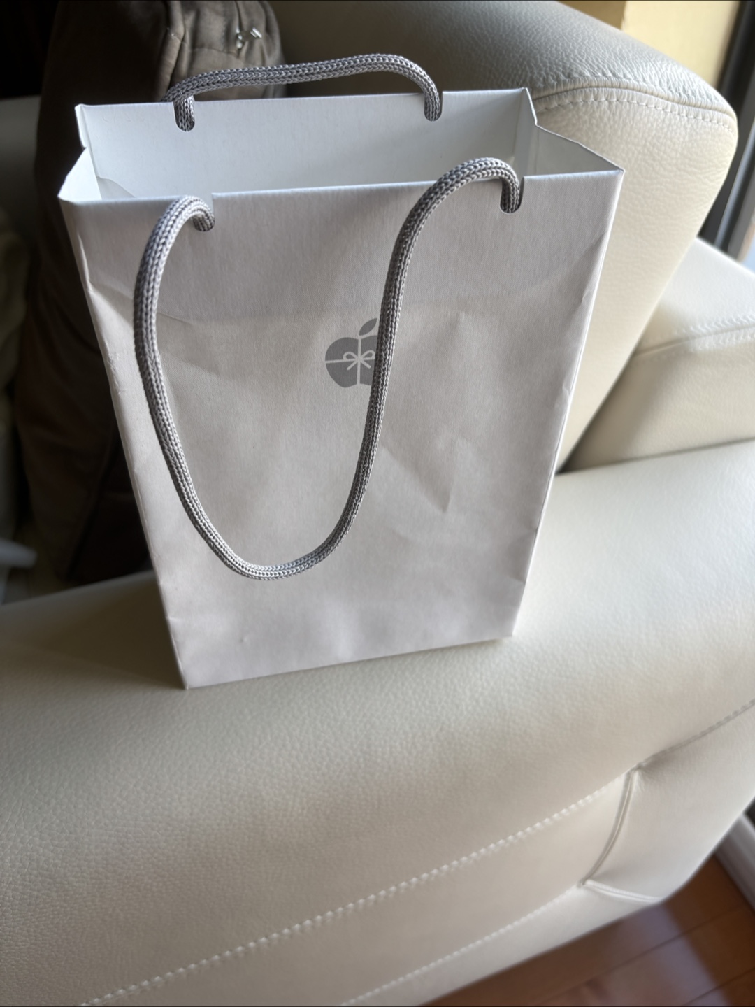Apple Gift Bag