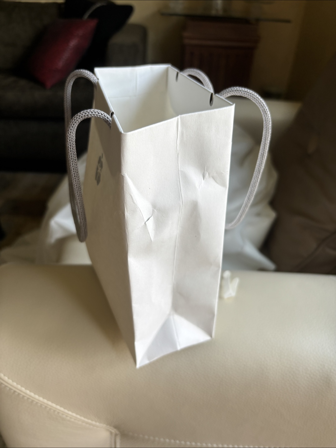 Apple Gift Bag - photo 3