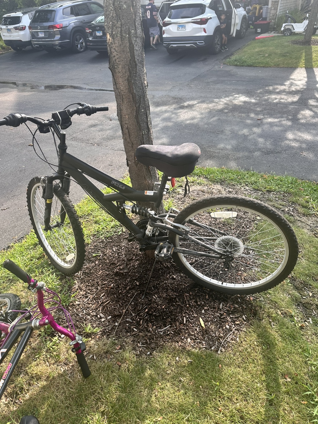 Black Bicycle - photo 2