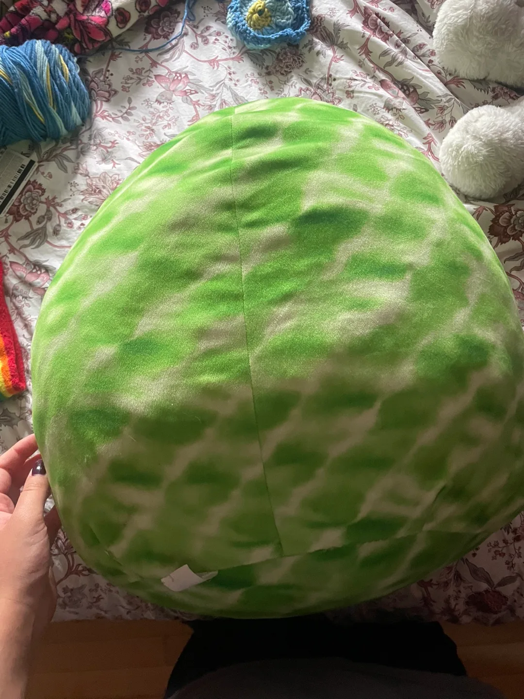 Squishmallow Watermelon Plush image indicator(2)