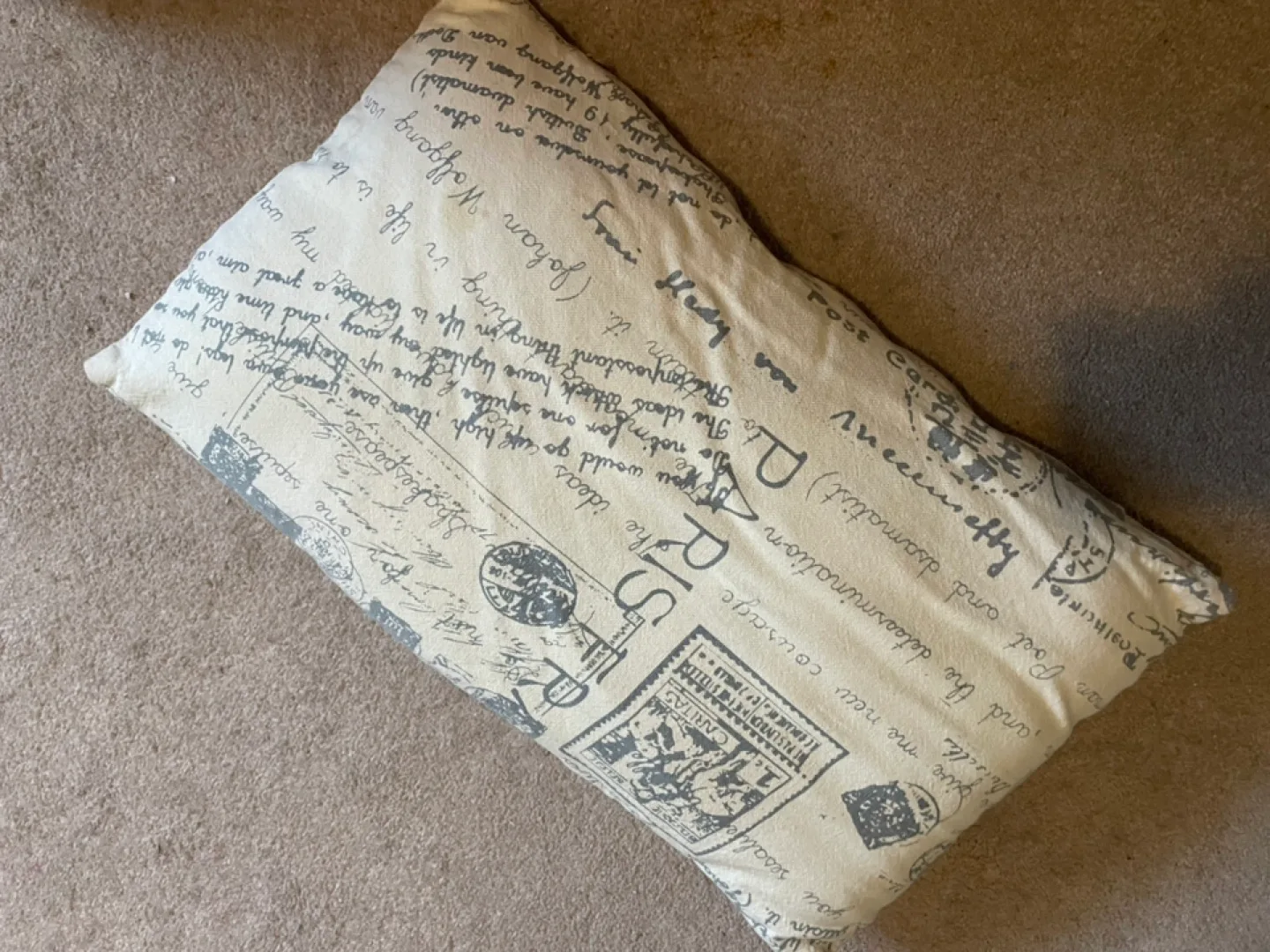 FREE - Paris Print Decorative Pillow thumbnail