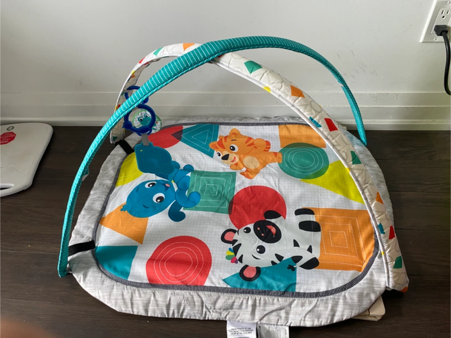 Baby Einstein Play Mat – $15 - photo 2