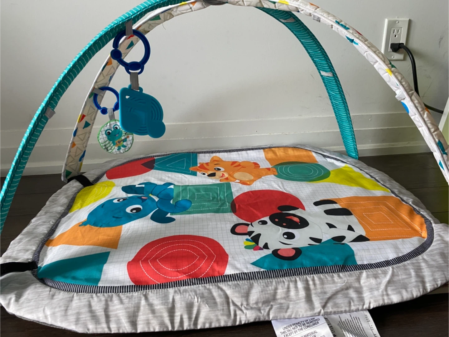 Baby Einstein Play Mat – $15