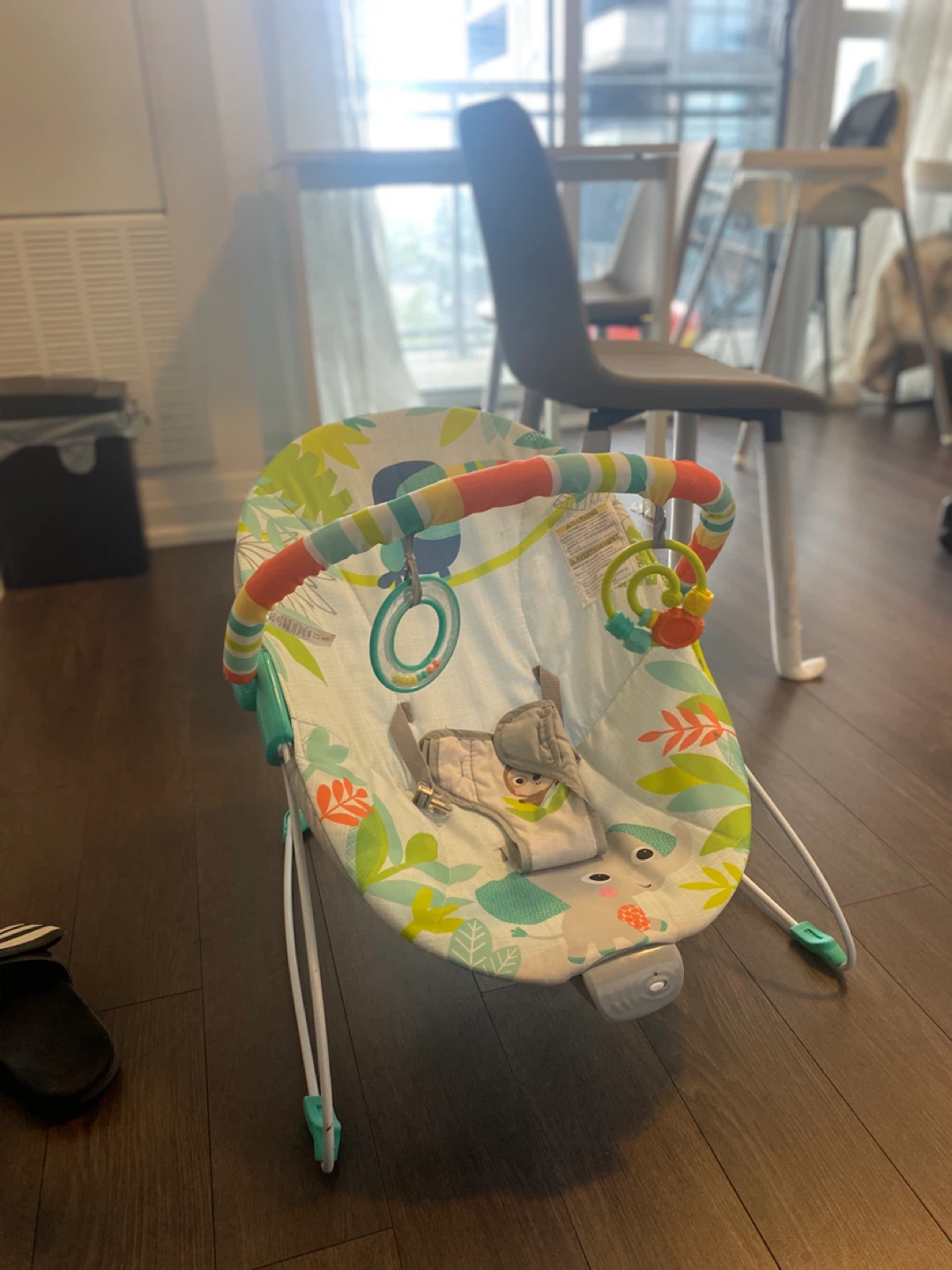 Bright Starts Jungle Fun Baby Bouncer - $13