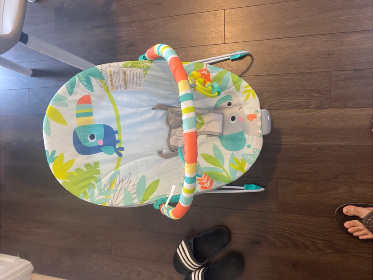 Bright Starts Jungle Fun Baby Bouncer - $13 - photo 2