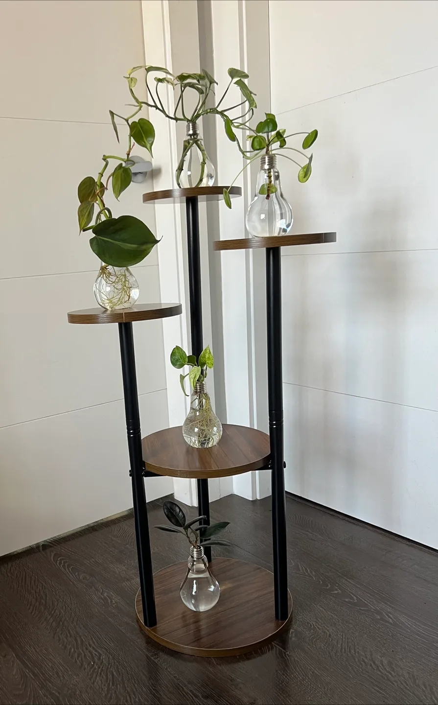 Stylish 5-Tier Plant Stand with Hydroponic Plants image indicator(3)