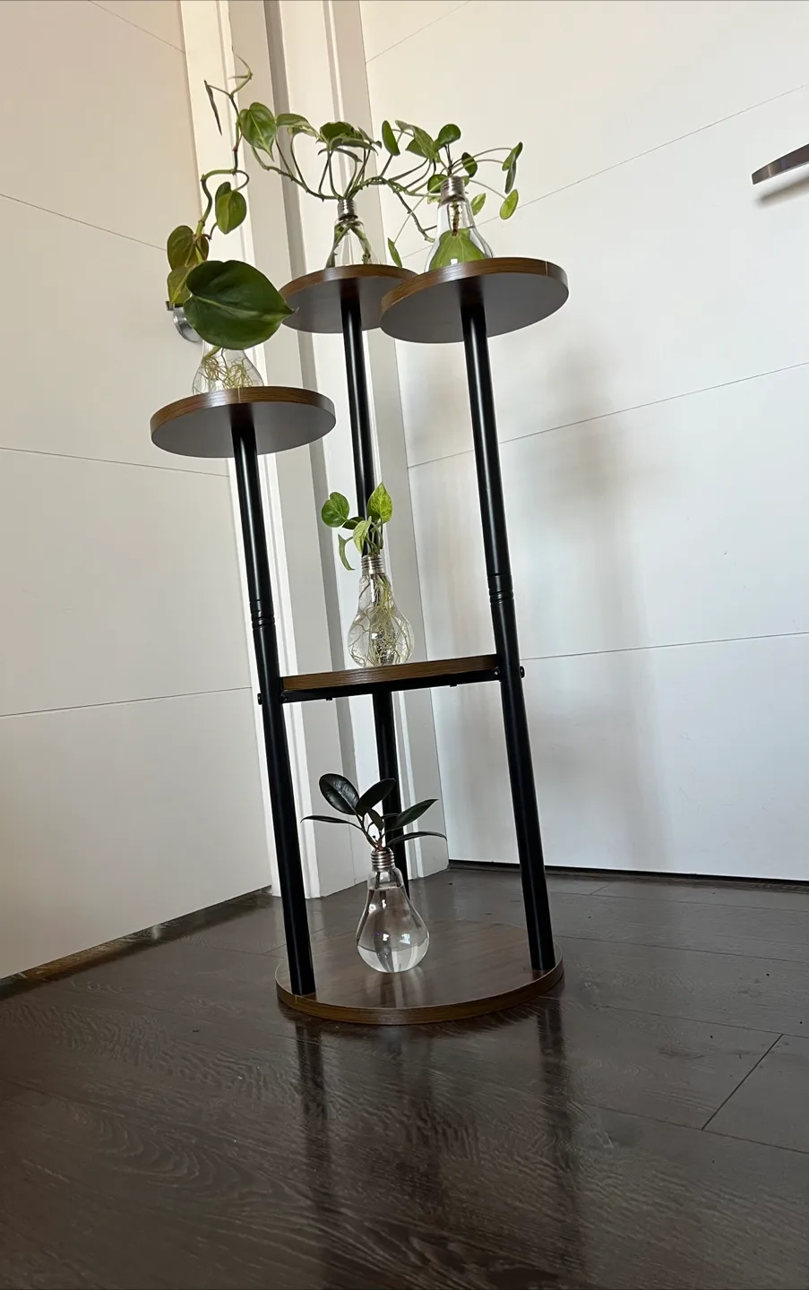 Stylish 5-Tier Plant Stand with Hydroponic Plants image indicator(5)