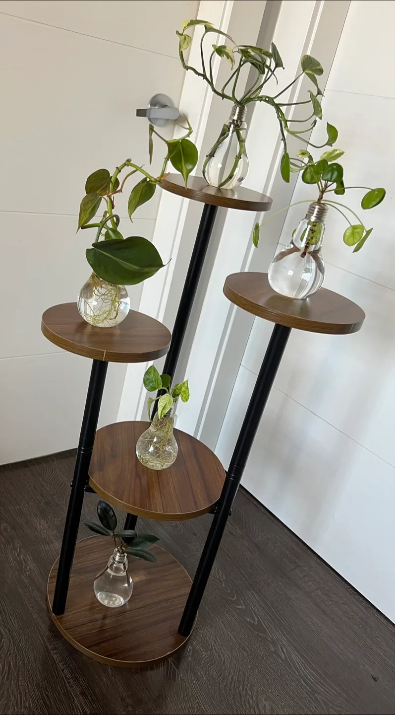 Stylish 5-Tier Plant Stand with Hydroponic Plants image indicator(4)
