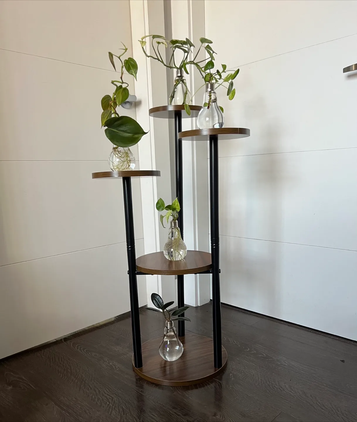 Stylish 5-Tier Plant Stand with Hydroponic Plants image indicator(6)