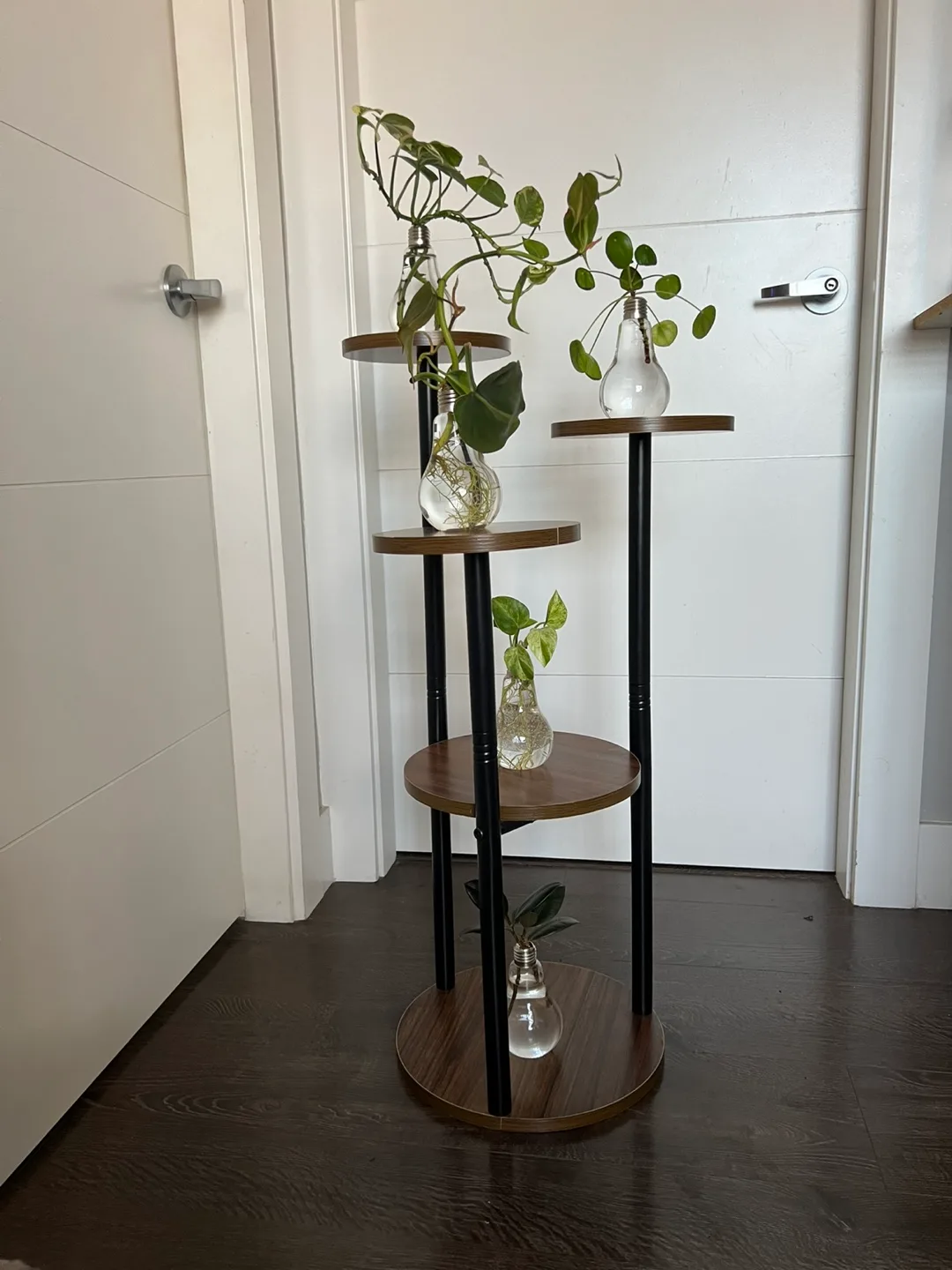 Stylish 5-Tier Plant Stand with Hydroponic Plants thumbnail