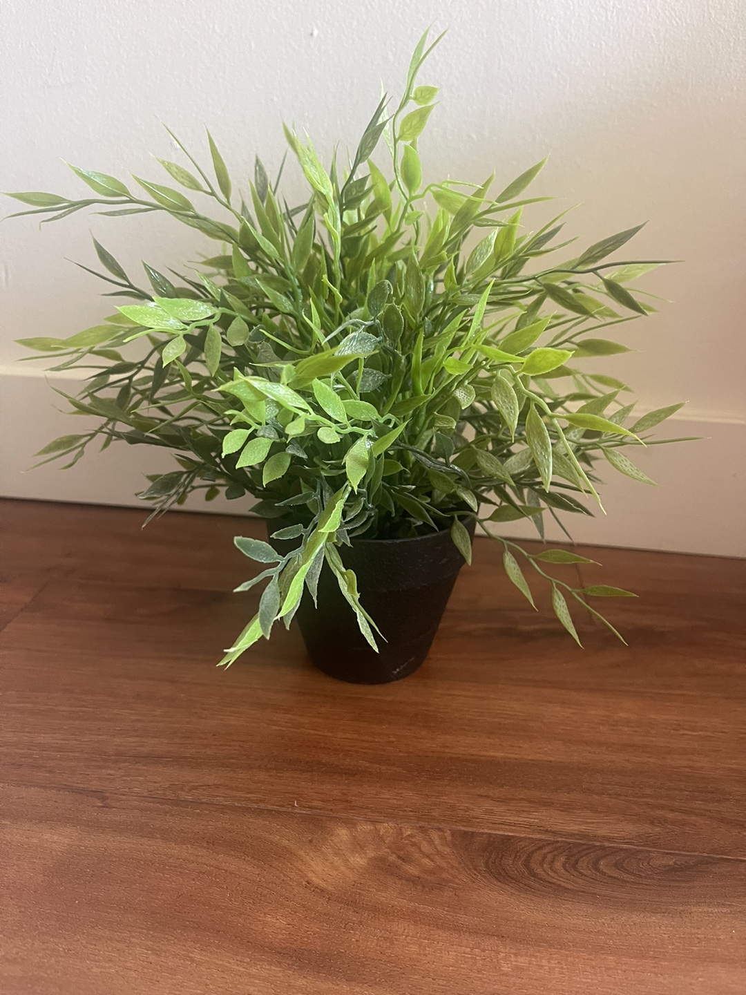 Fake Green Plant