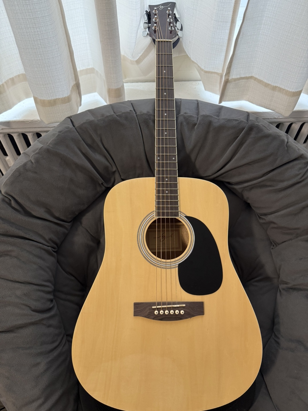 Acoustic Guitar with Case