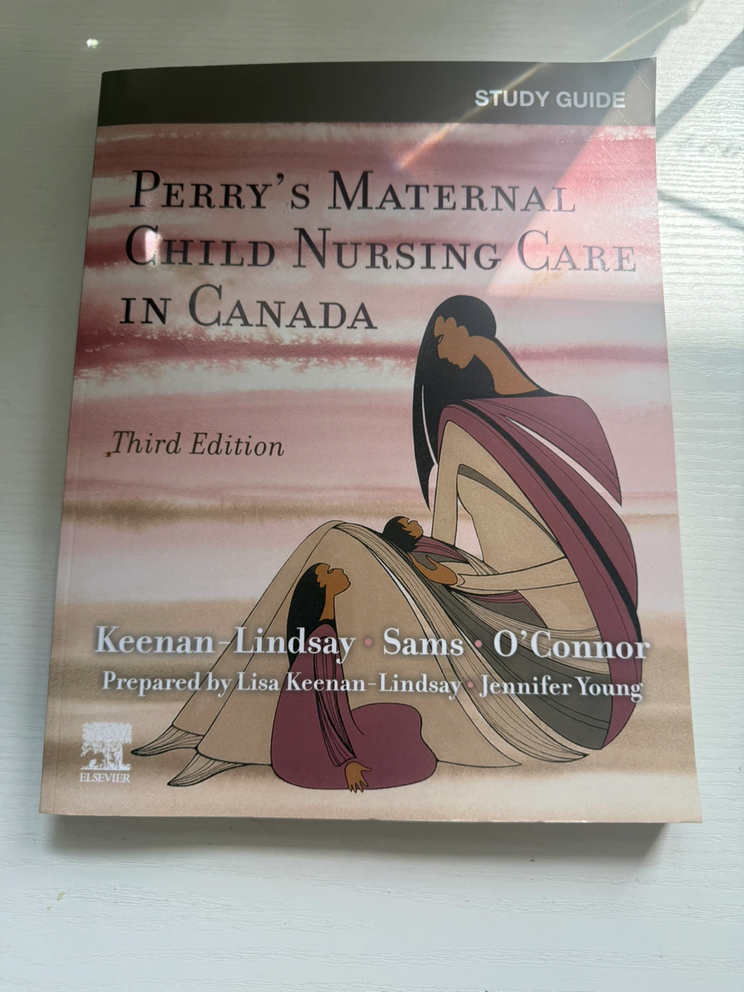 Perry's Maternal Child Nursing Care in Canada - photo 2