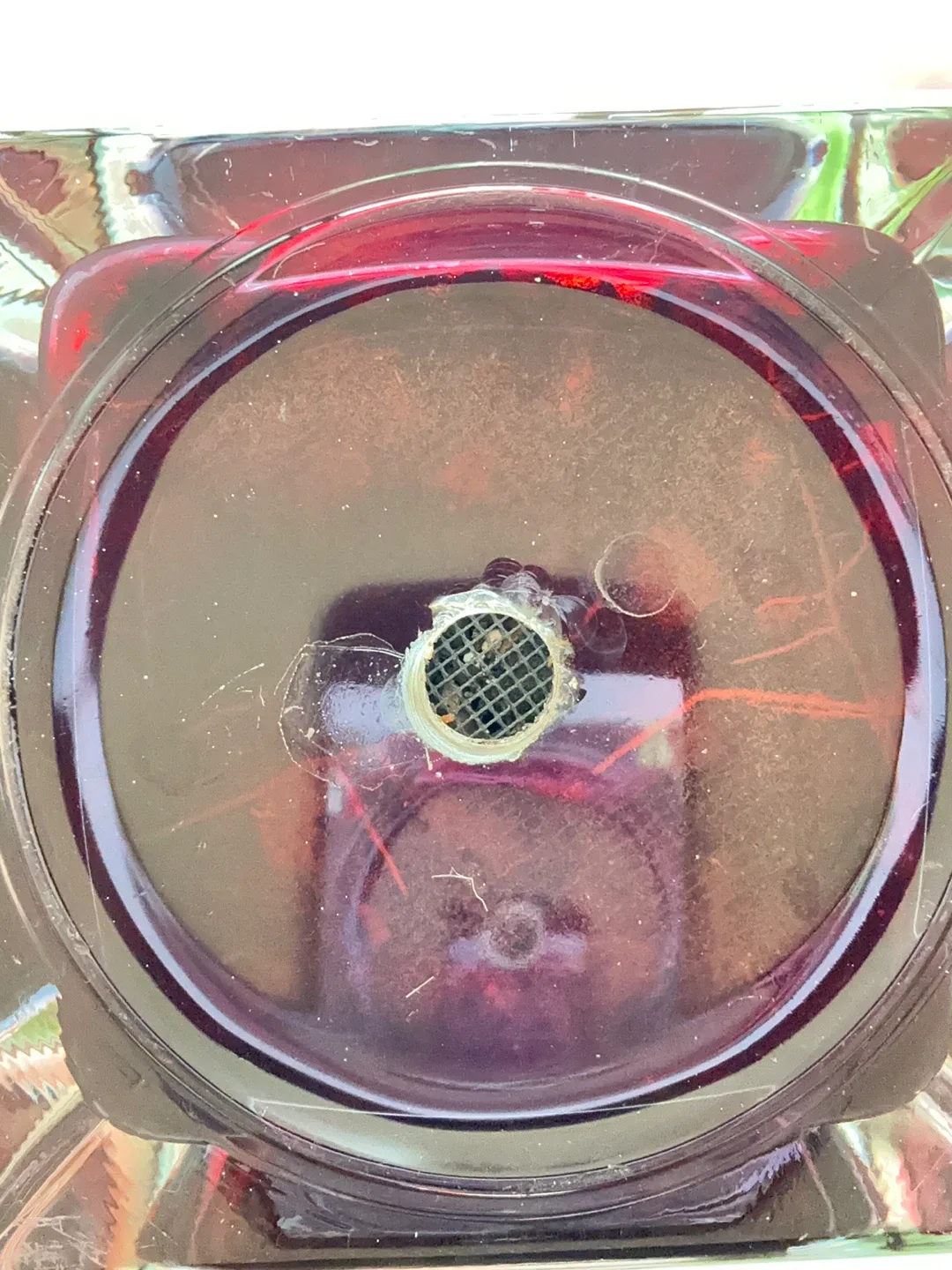 Miniature Garden with low maintenance plants image indicator(9)