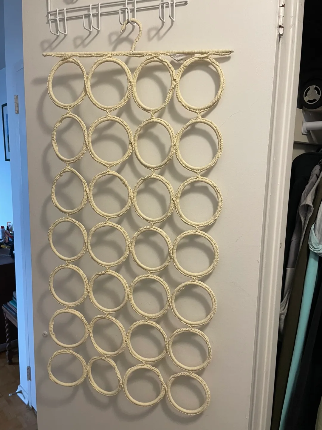 Scarf/Accessory Organizer thumbnail