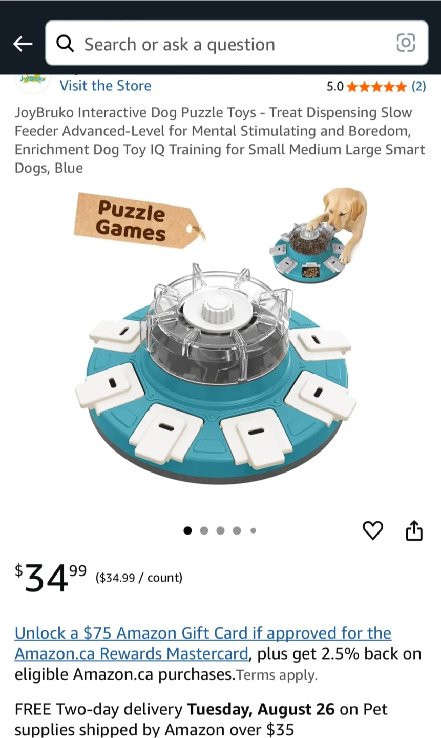 Dog Puzzle Toy - Brand NEW thumbnail