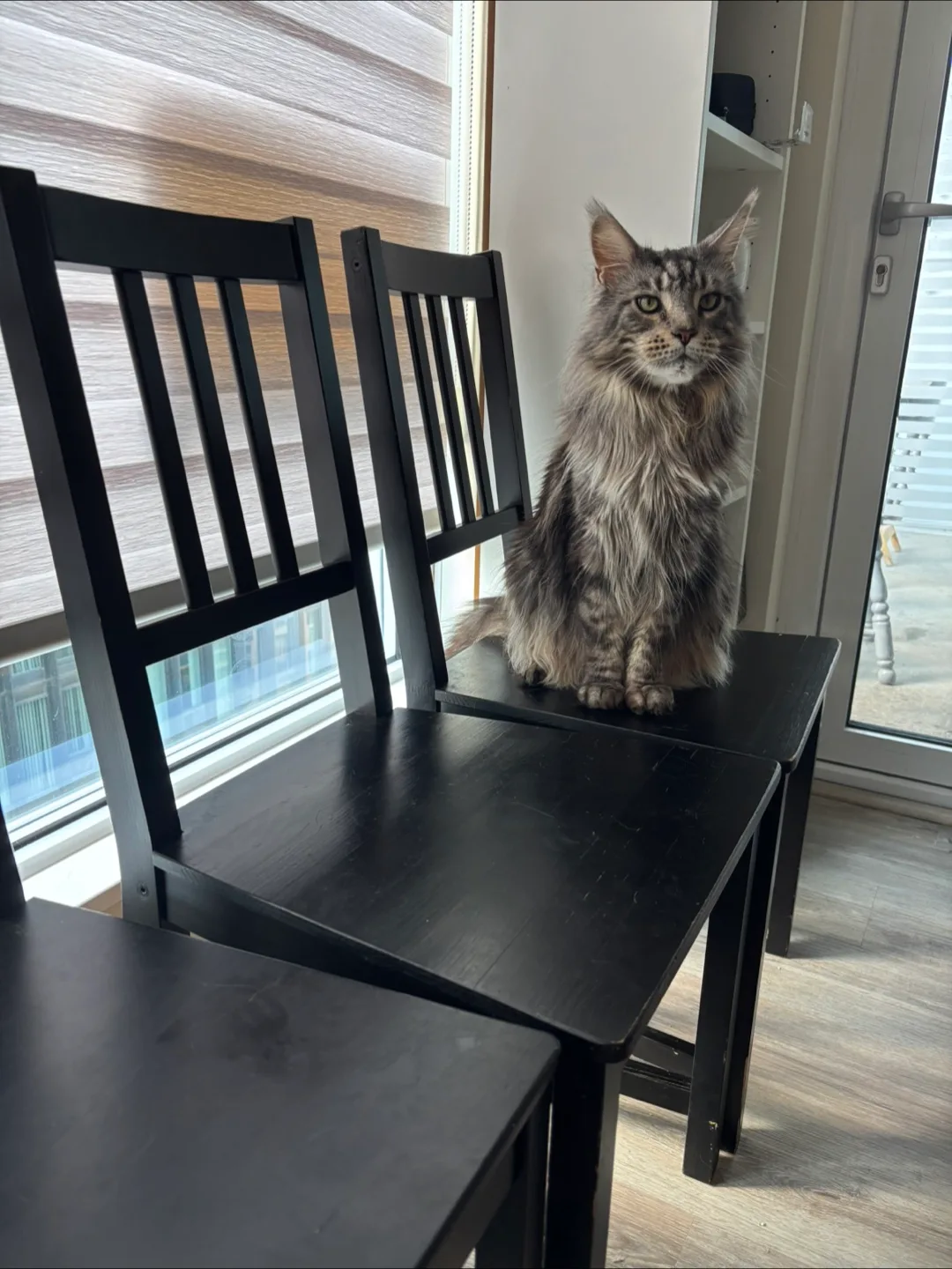 Set of 4 IKEA STEFAN Chairs thumbnail