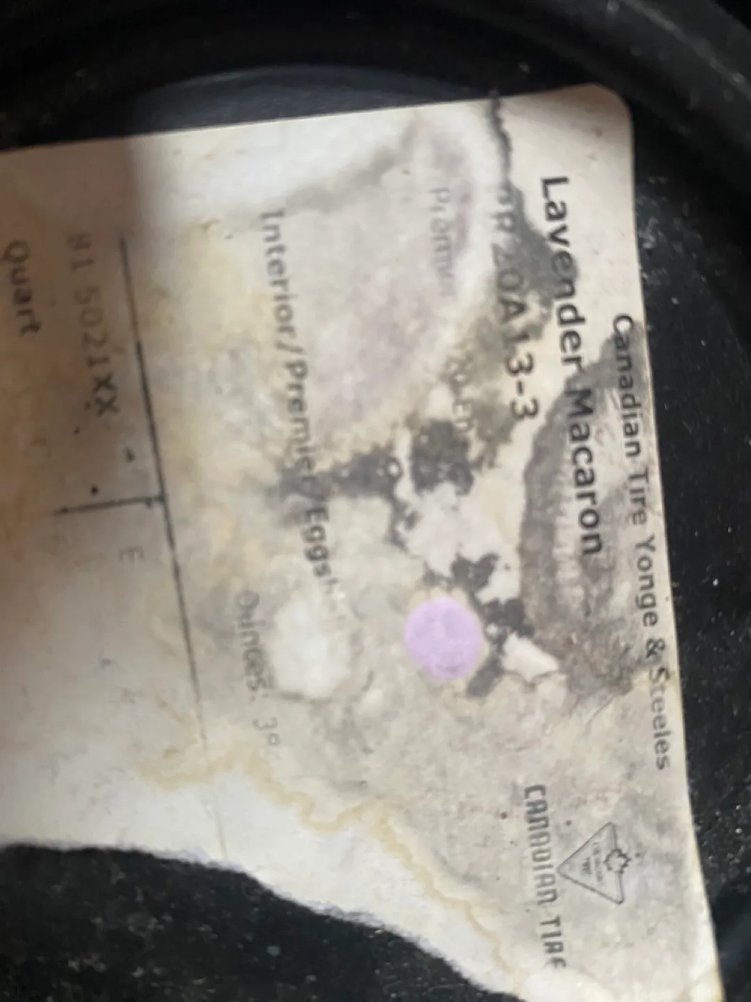 Canadian Tire Lavender Macaron Paint image indicator(3)