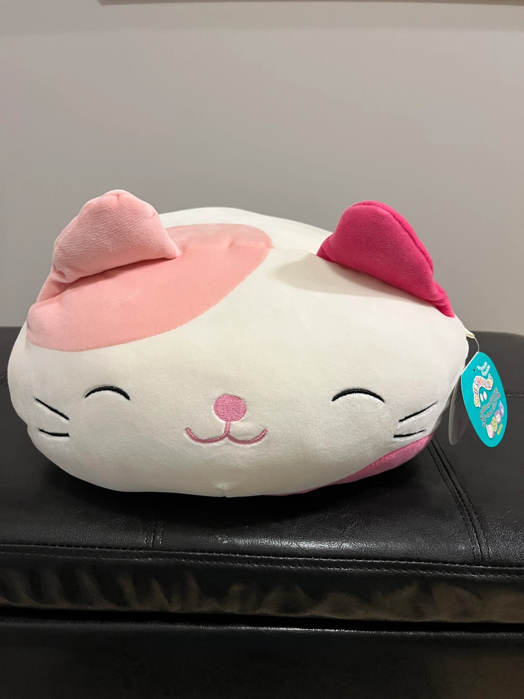Squishmallows Roxy Cat Plush Toy