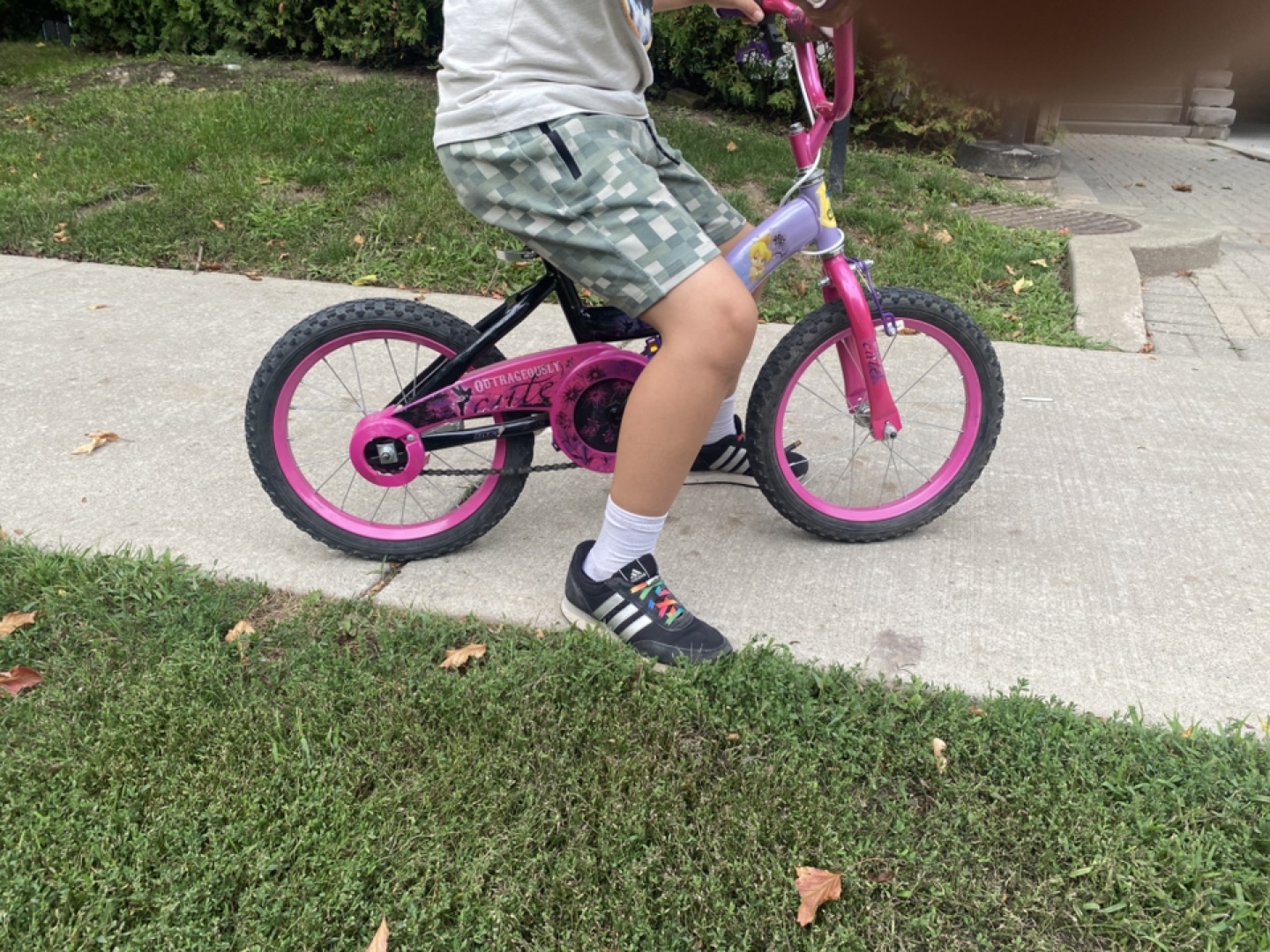 Kids' Bike - Pink & Purple - photo 2