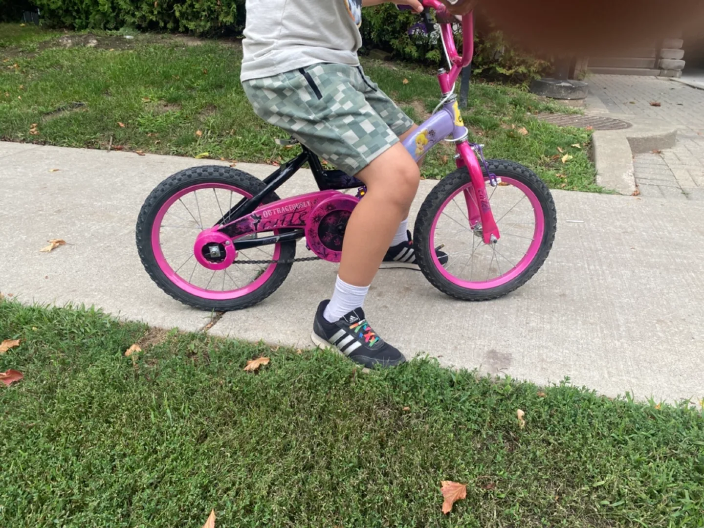 Kids' Bike - Pink & Purple image indicator(2)