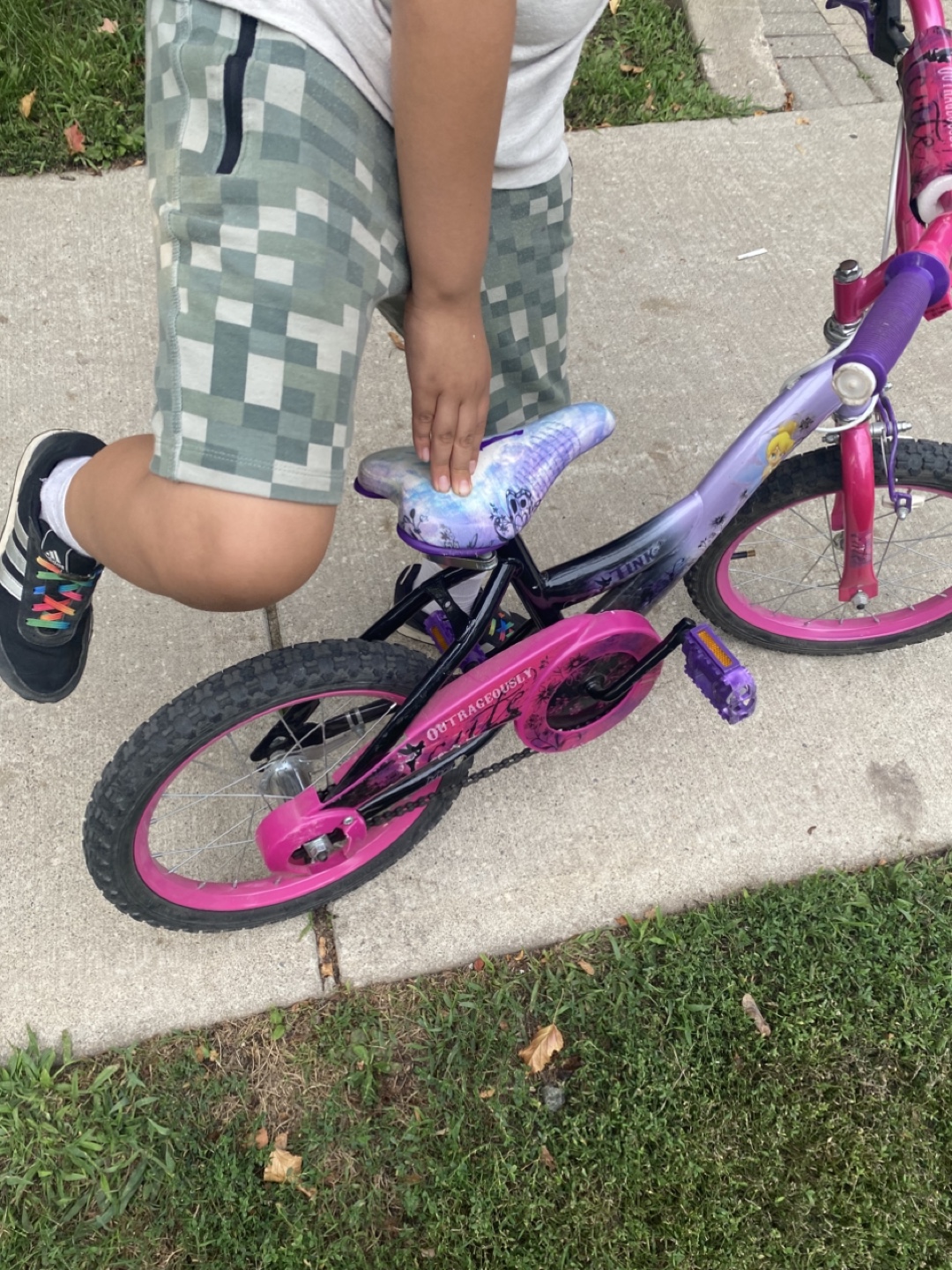 Kids' Bike - Pink & Purple