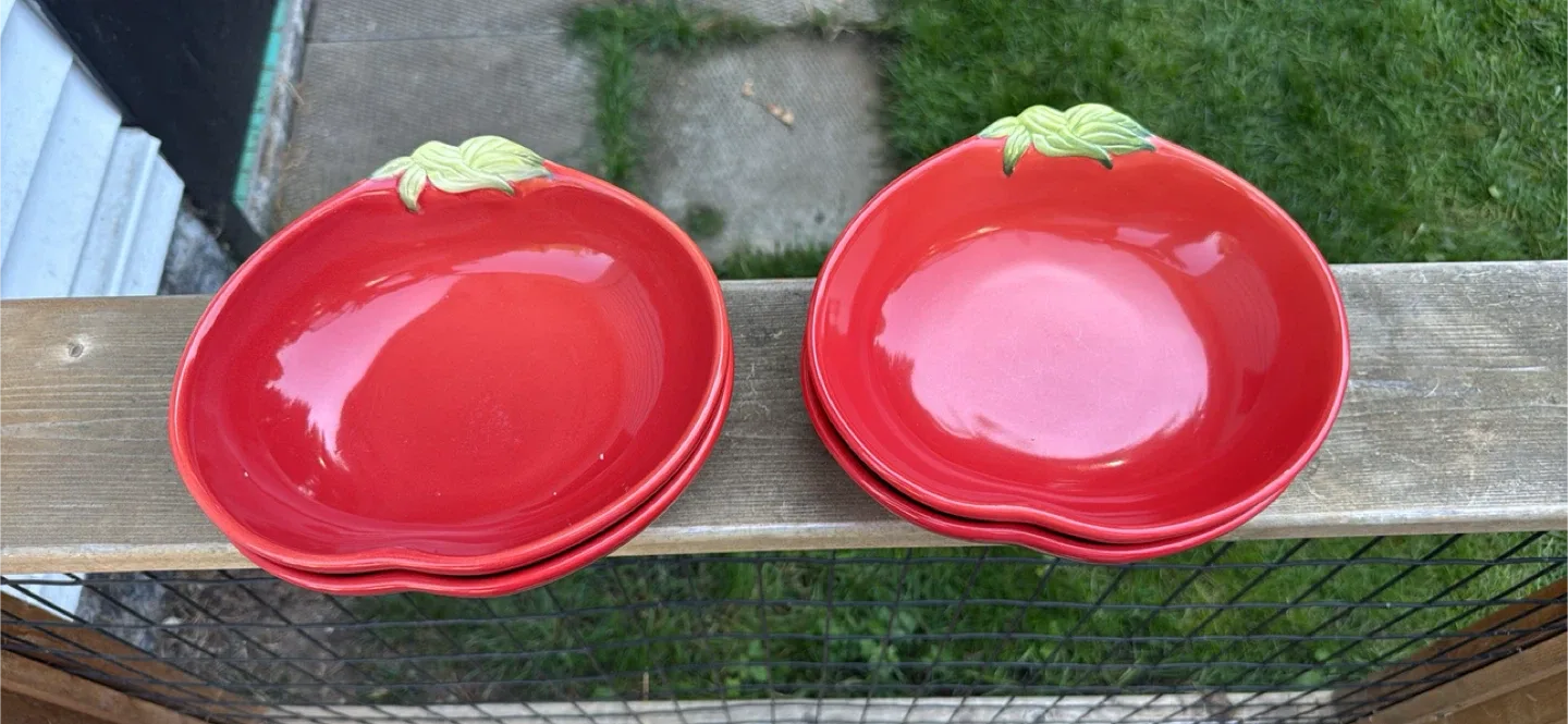Pottery Barn Garden Pasta Bowls - Set of 4 thumbnail