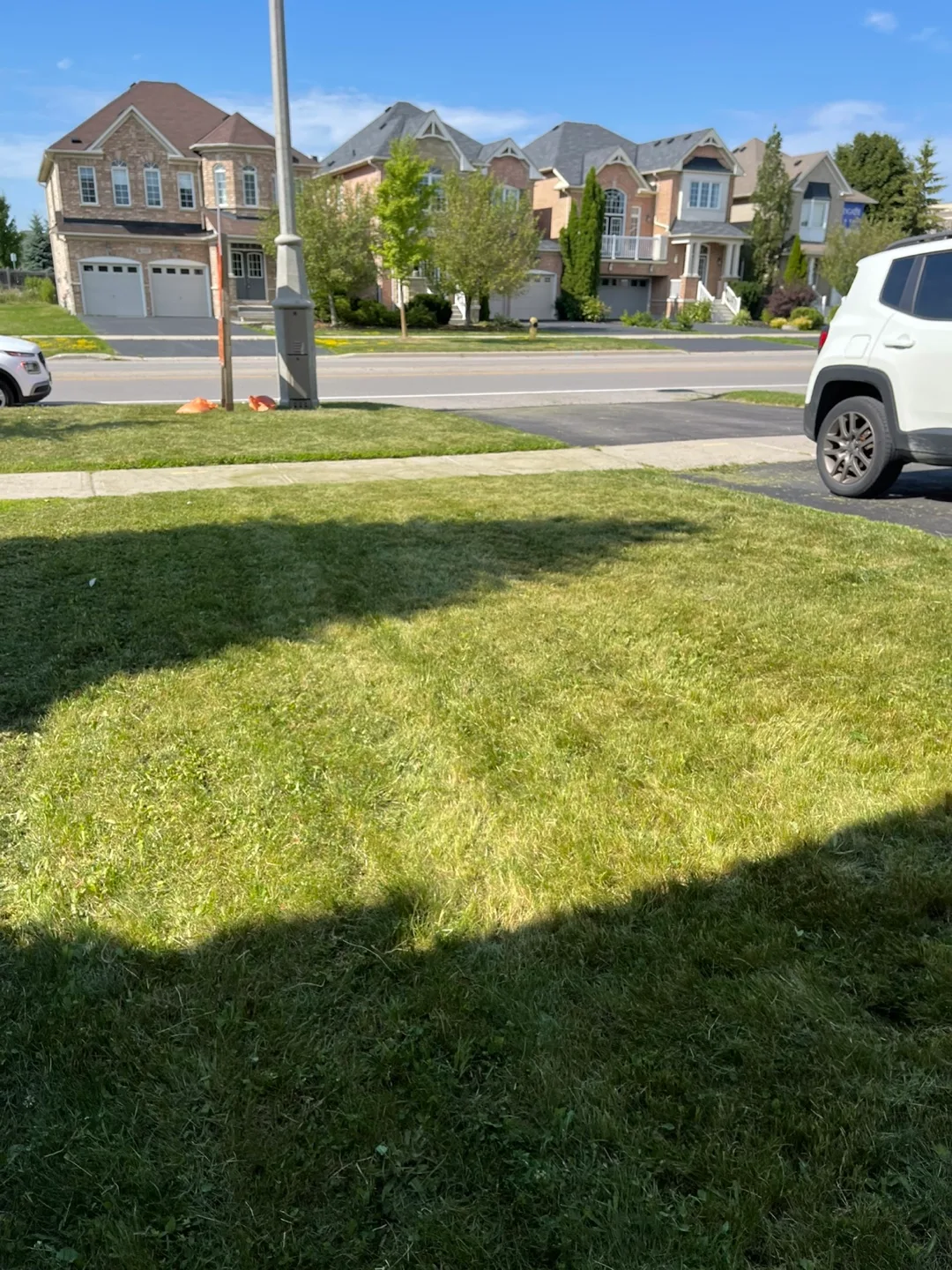 Fresh cut lawn today for only 25$ thumbnail