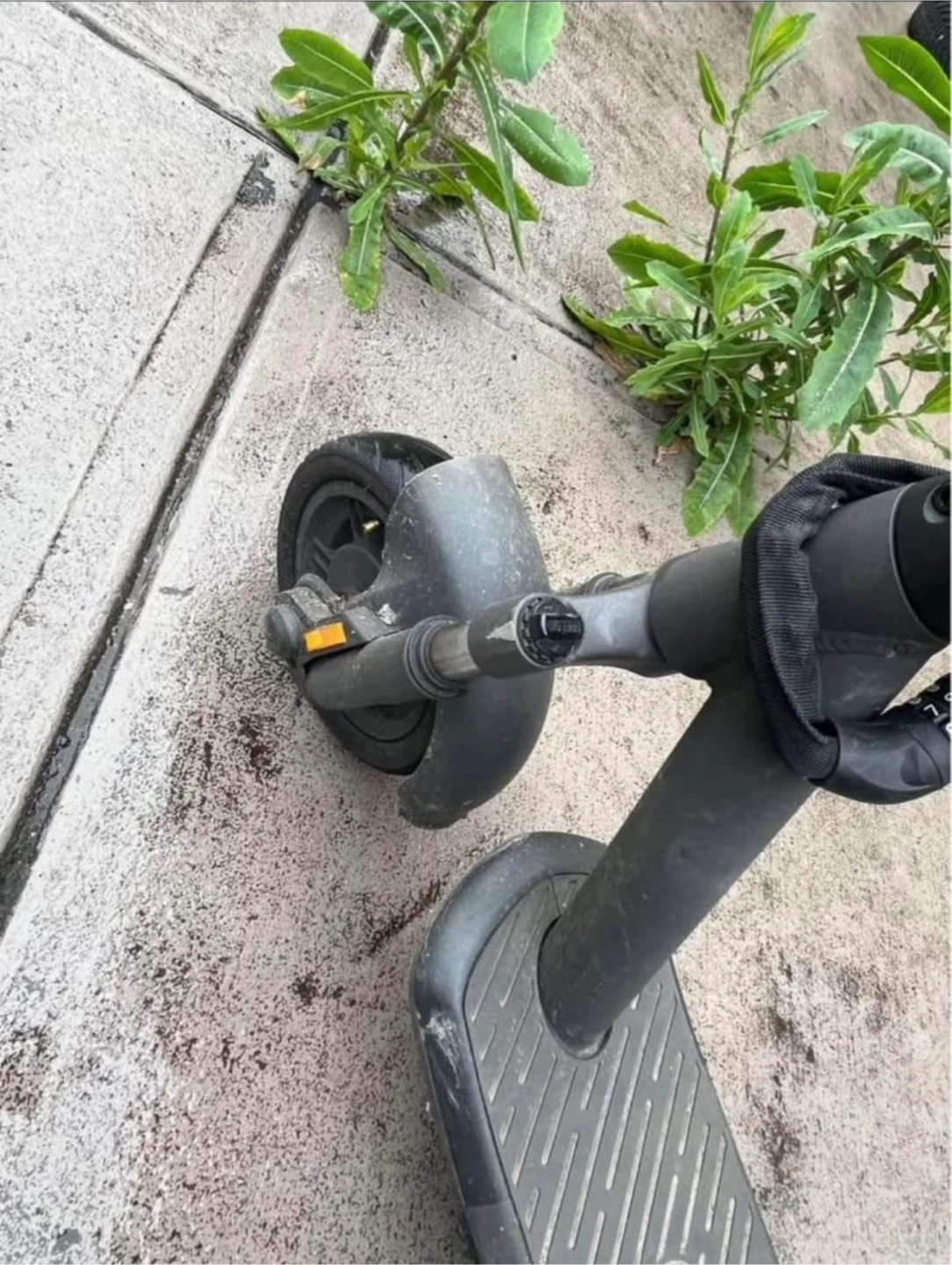 Lemotion S1 Electric Scooter