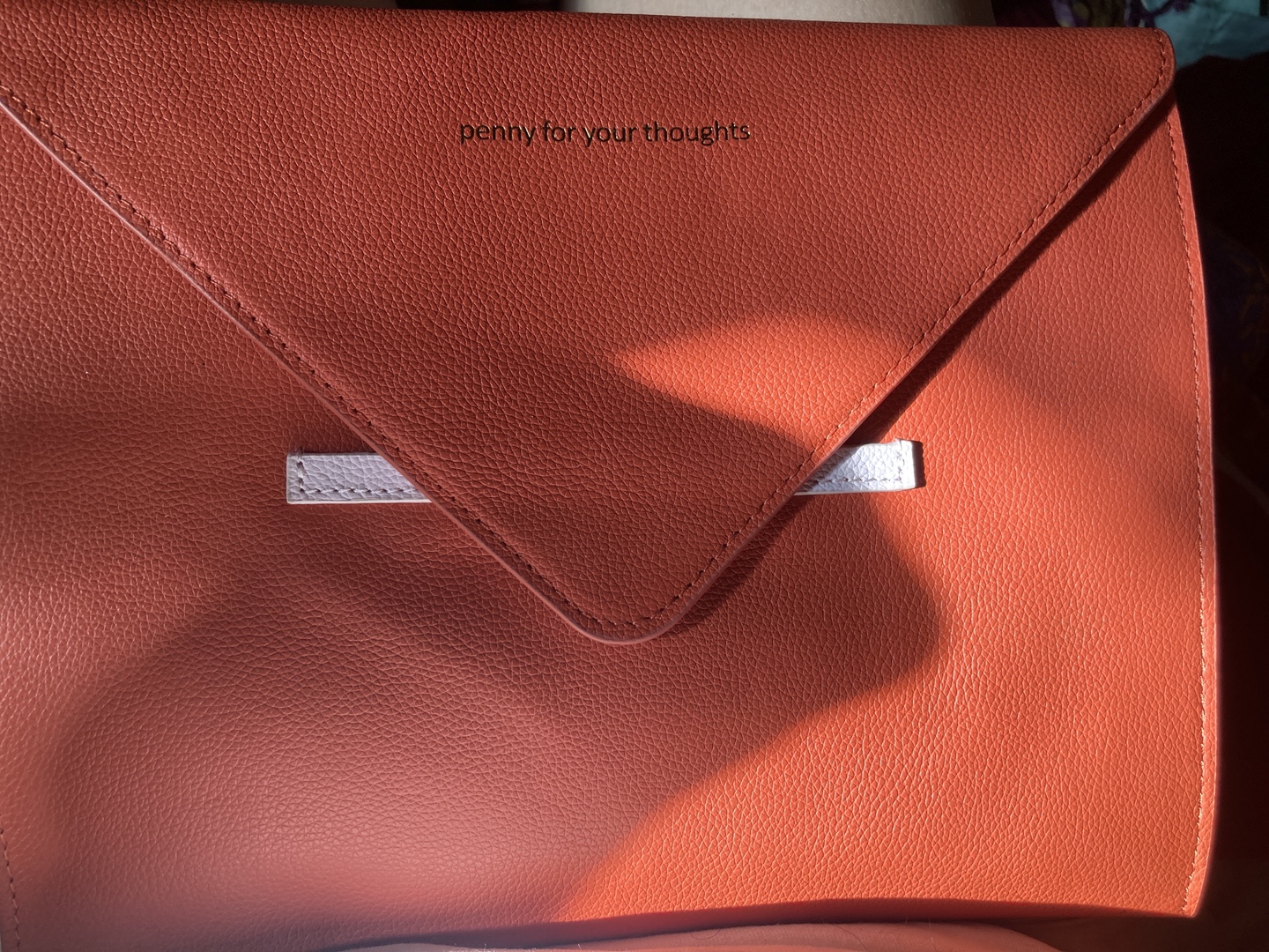 Penny For Your Thoughts  Leather I pad mini used for nookie