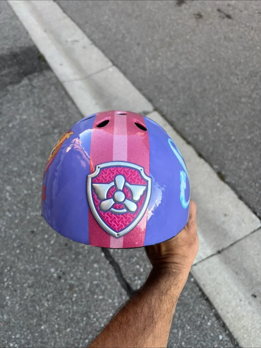 Paw Patrol Skye Bike Helmet image indicator(2)