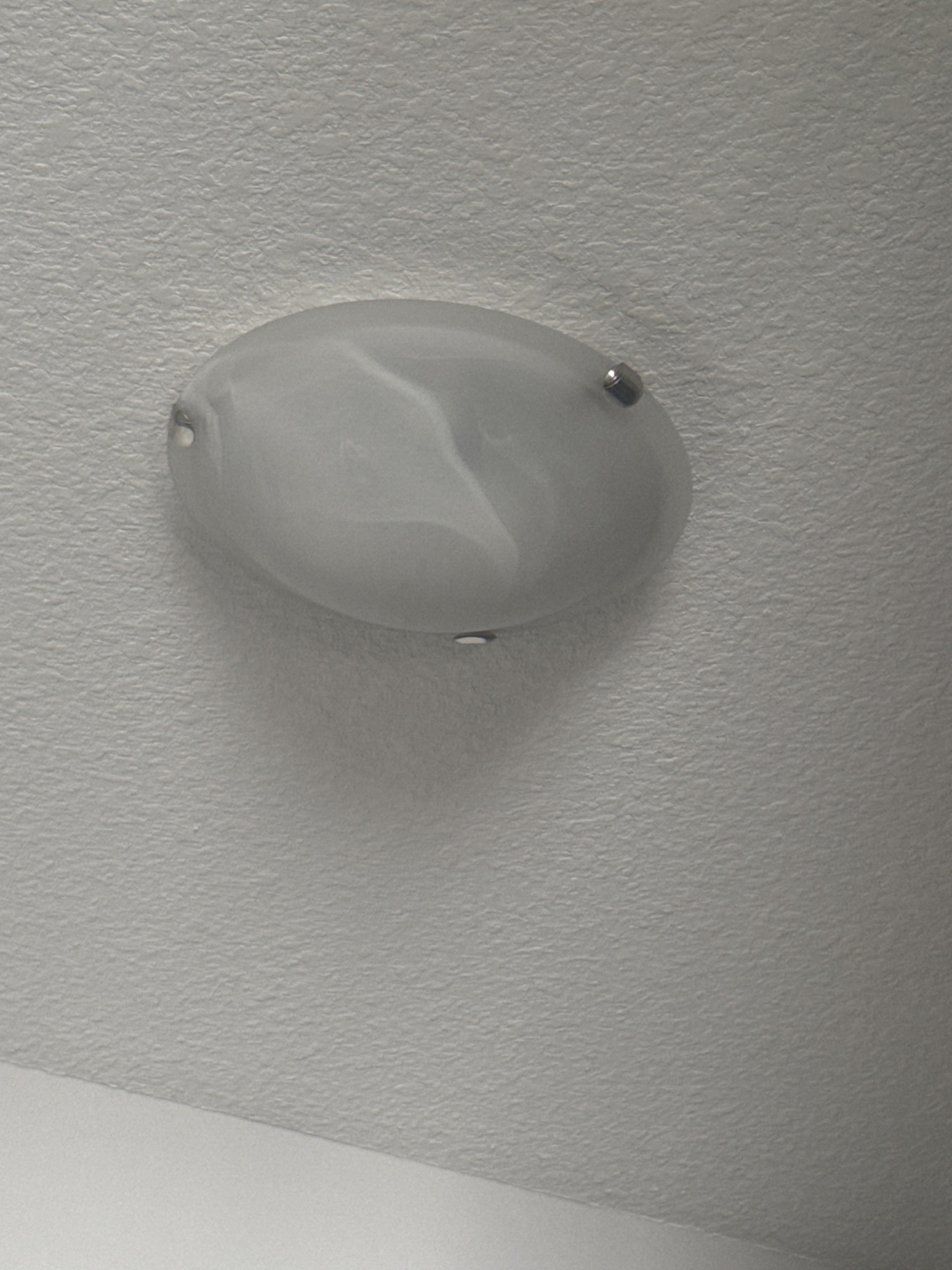 Ceiling Light Fixture