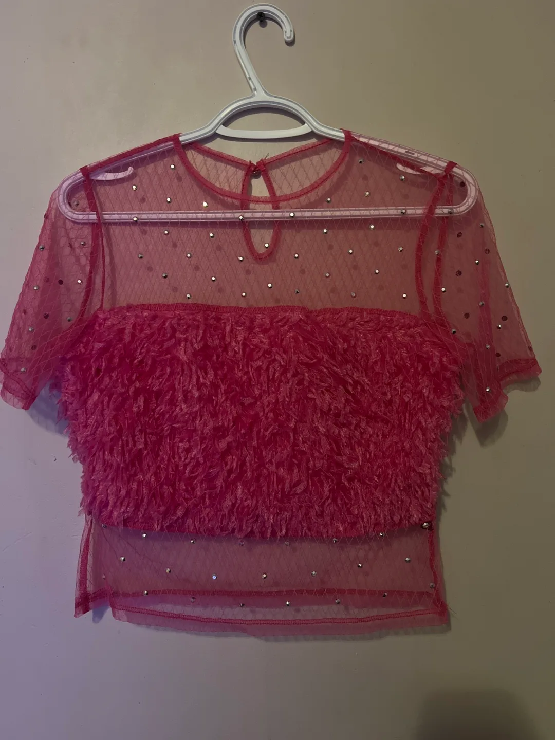 Pink Sheer Top with Faux Fur Detail thumbnail