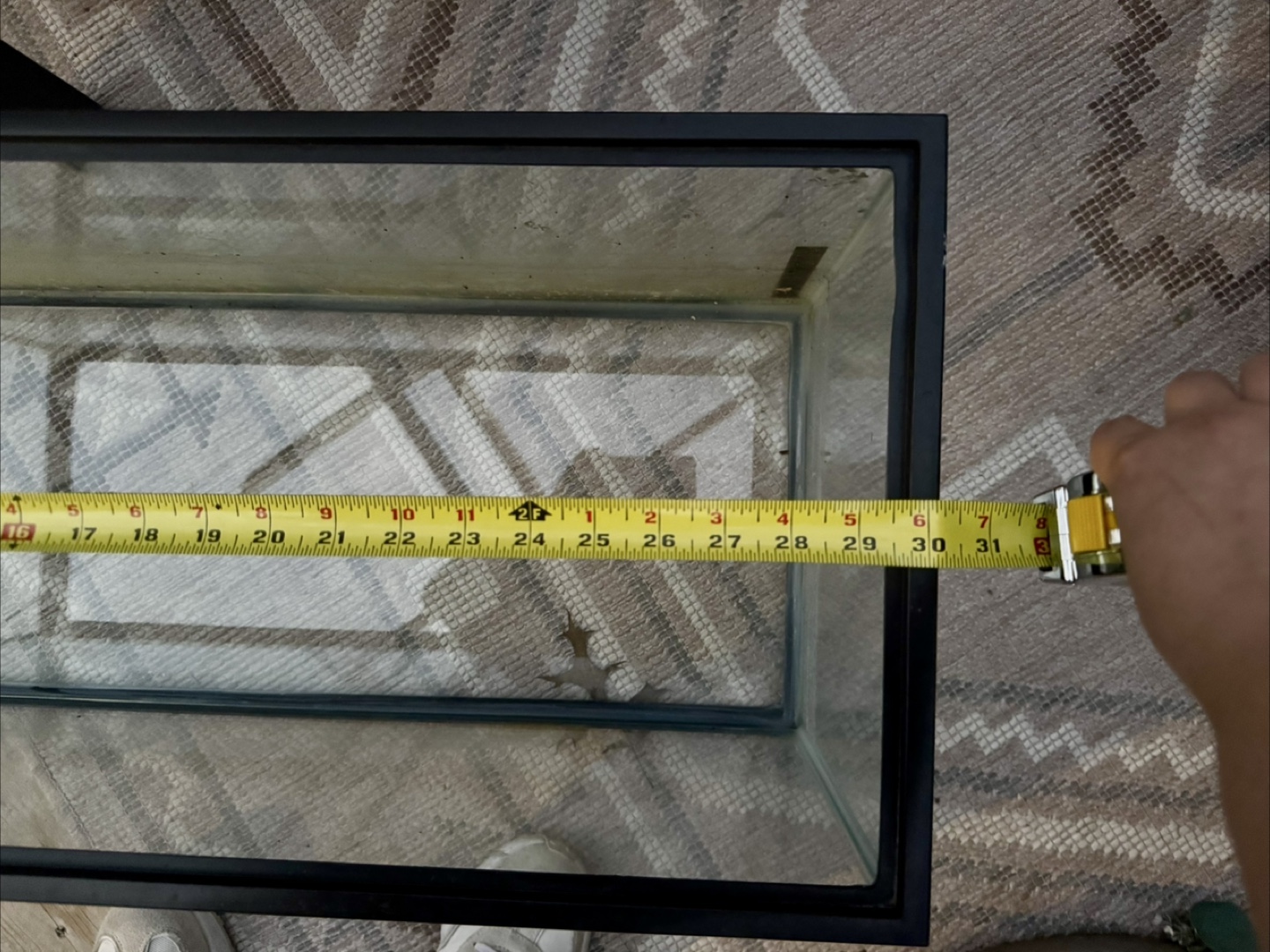 Terrarium/Fish Tank - photo 3
